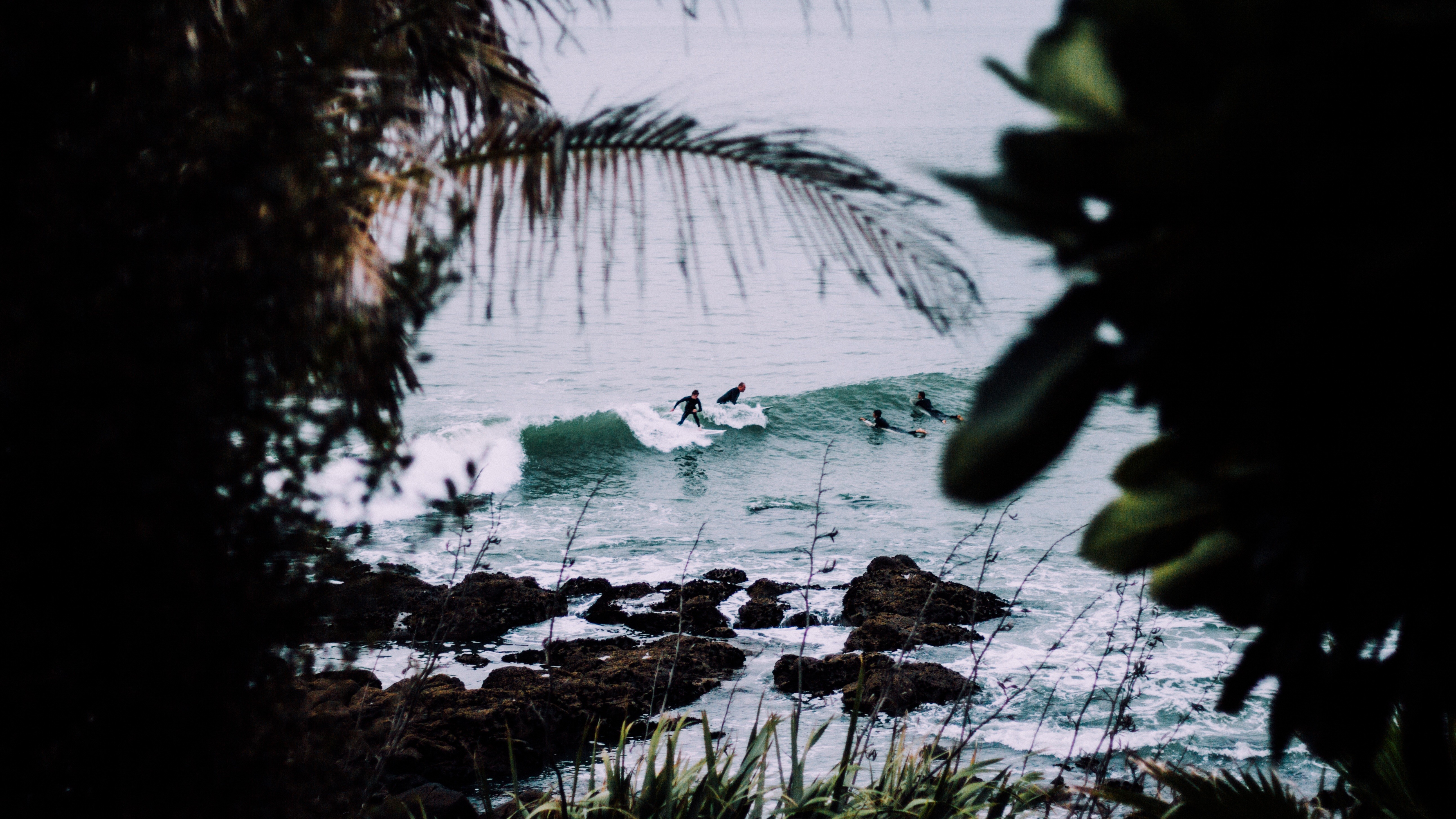 Nature Water Trees Surfers 5176x2912