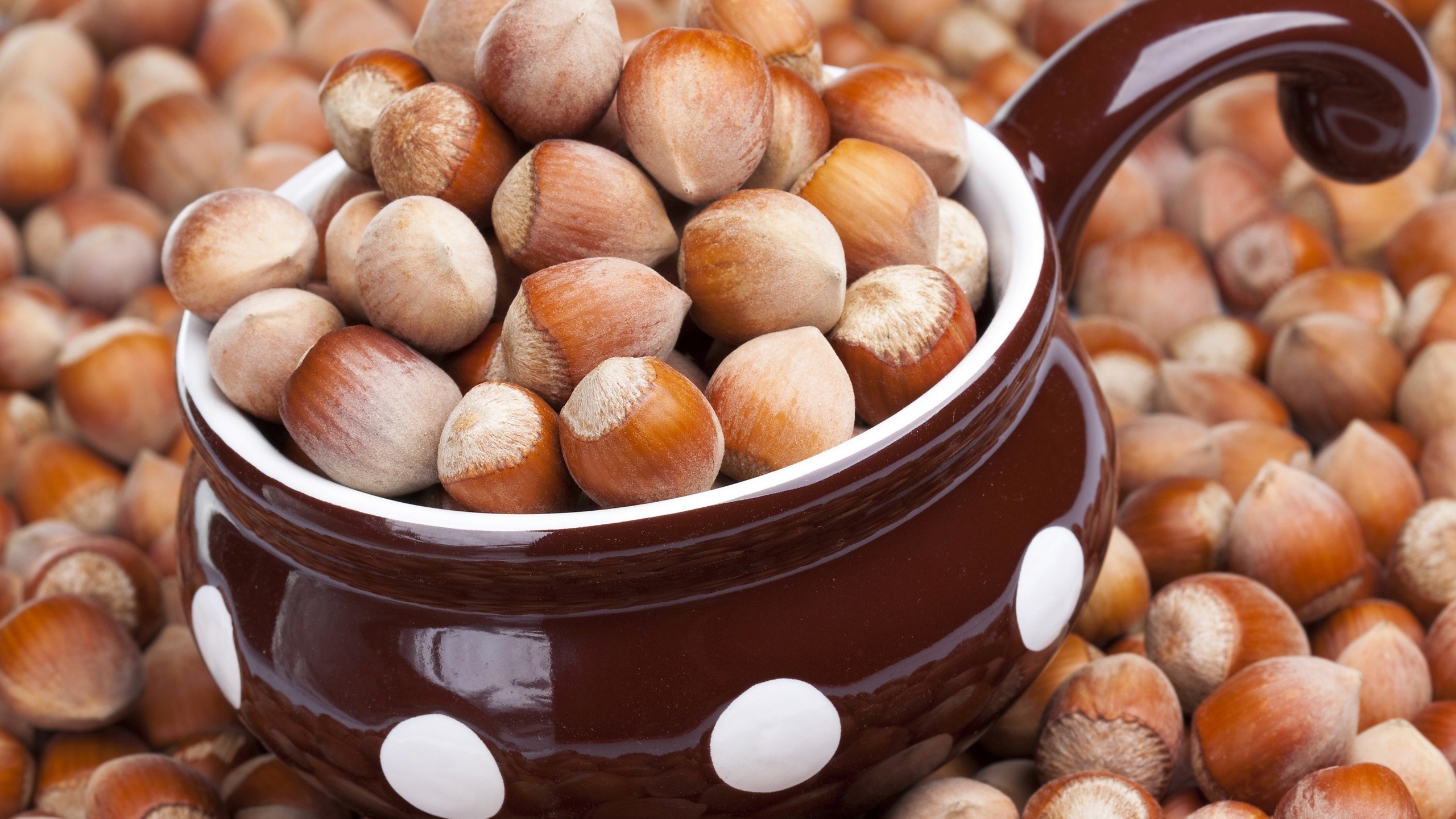 Nuts Brown Hazelnut 2560x1440