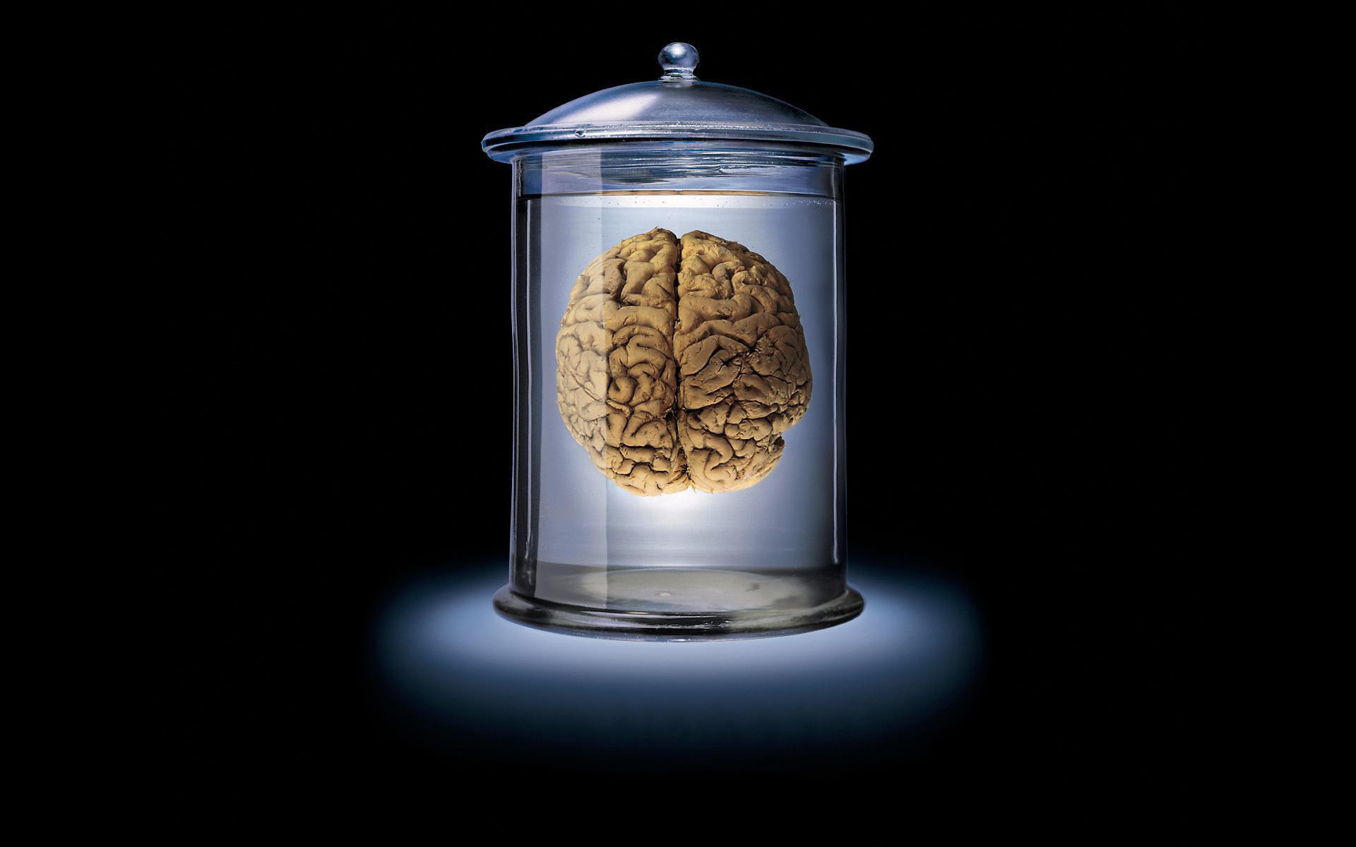 Brain Glass Jar Backlighting Dark Background Digital Art 1920x1200
