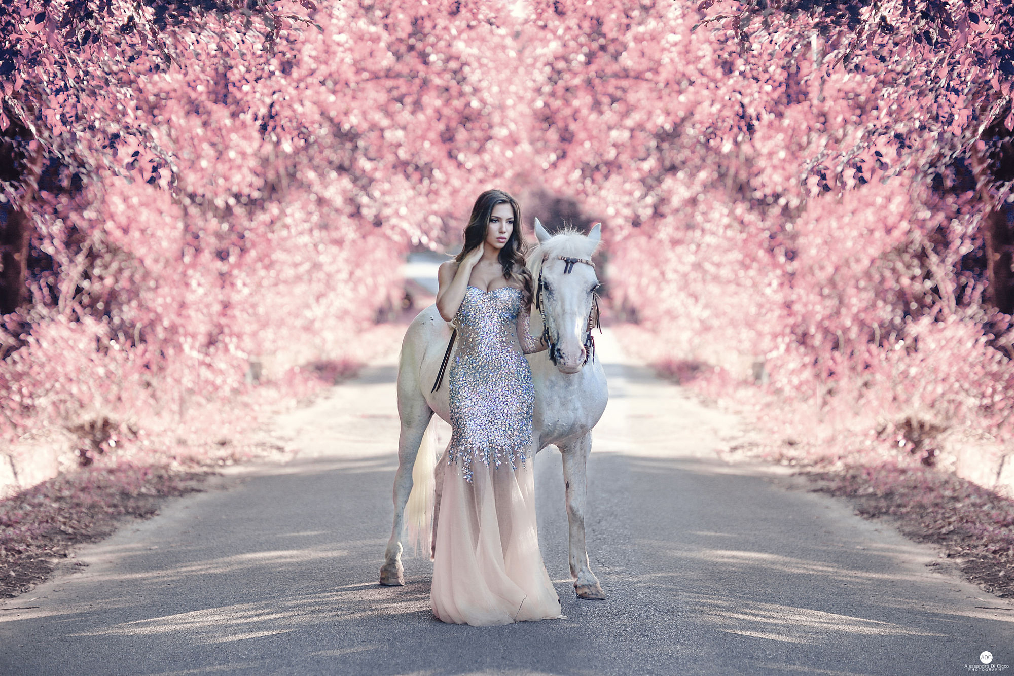 Women Alessandro Di Cicco Brunette Long Hair Dress Silver Road Horse White Pink Leaves Women With Ho 2000x1333