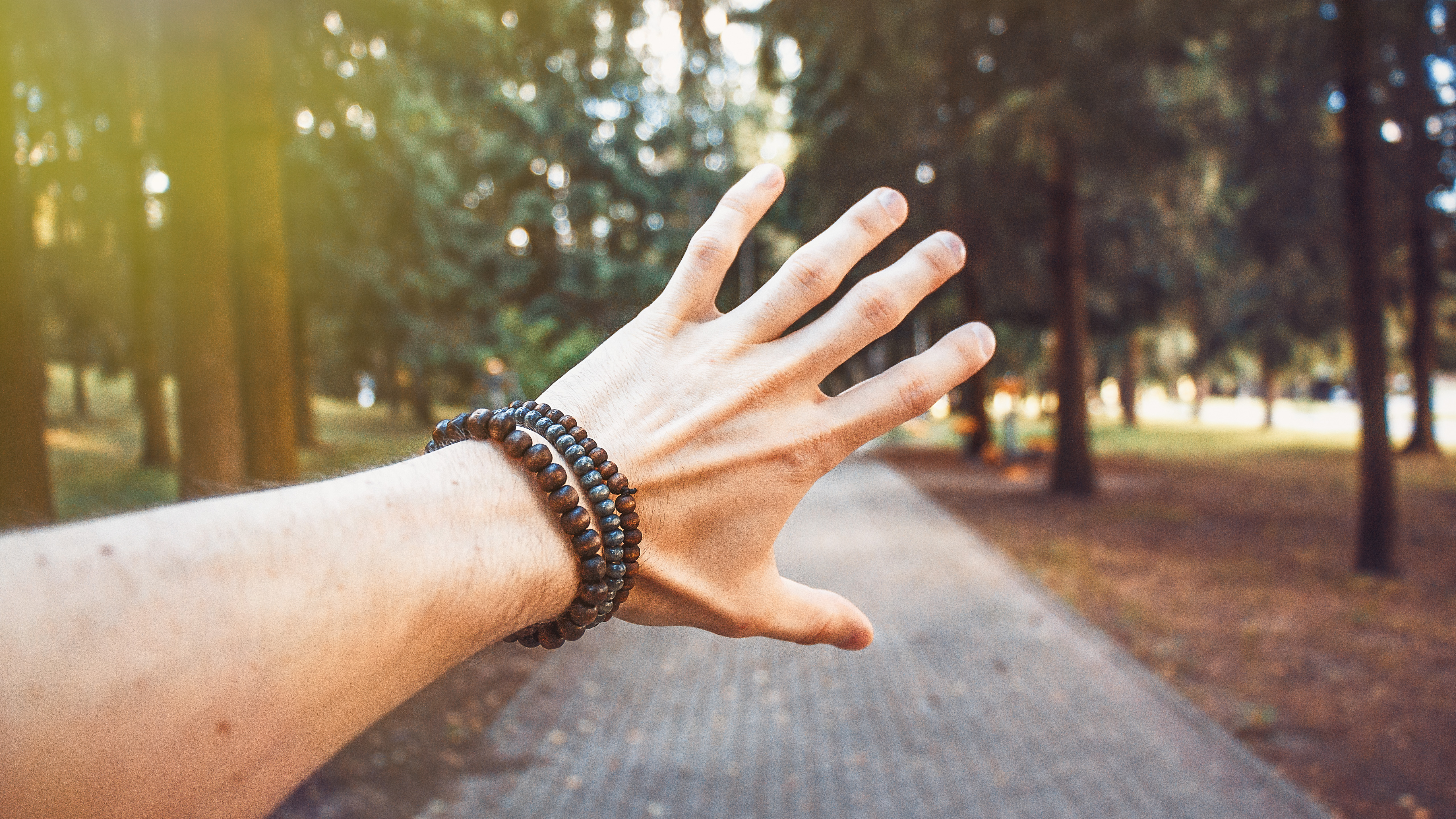 Bracelets Nature Forest Hand Gesture Pavements 5120x2880