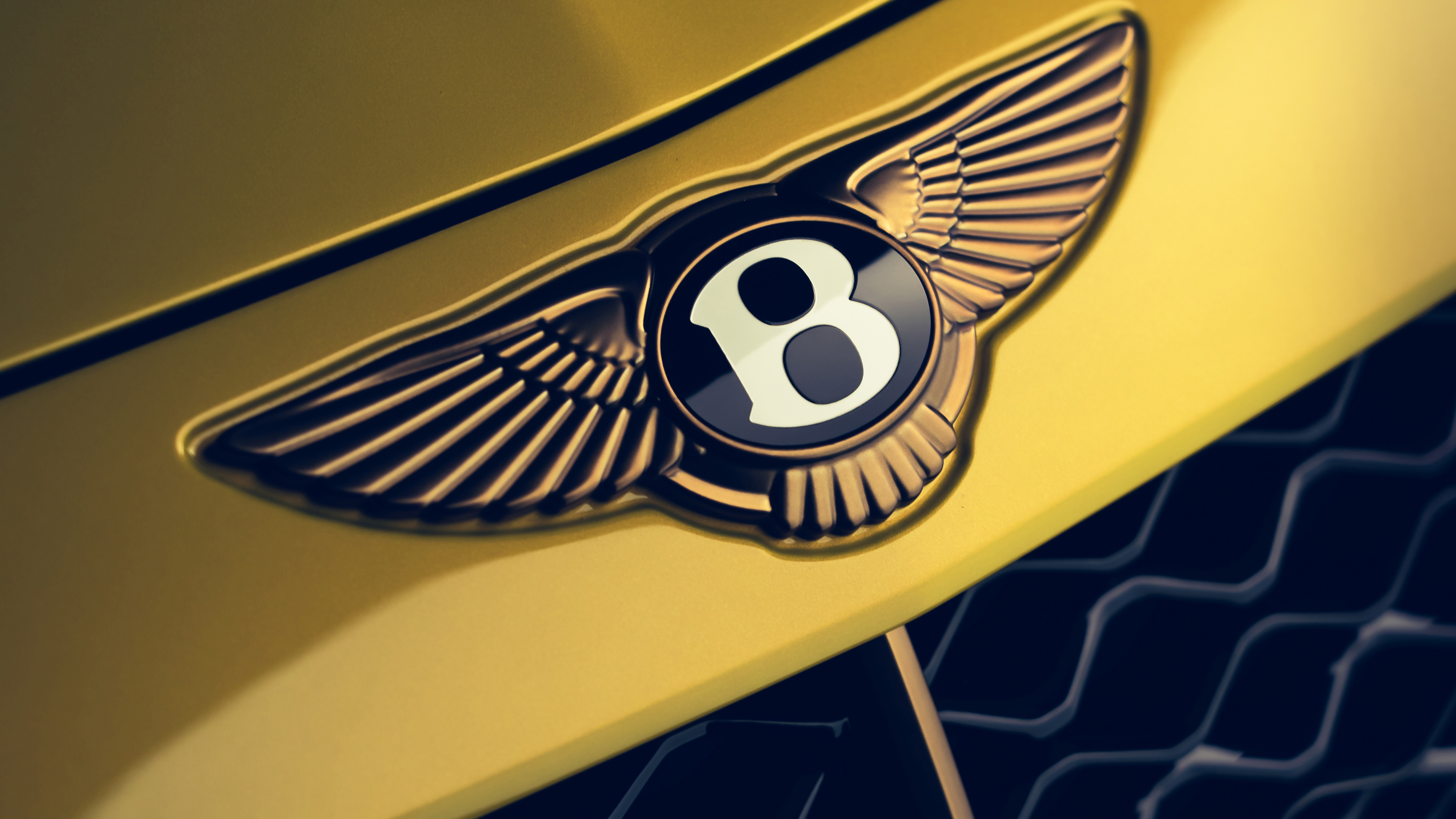 Bentley Mulliner Bacalar Bentley Logo Car Vehicle Closeup Wings 5120x2880