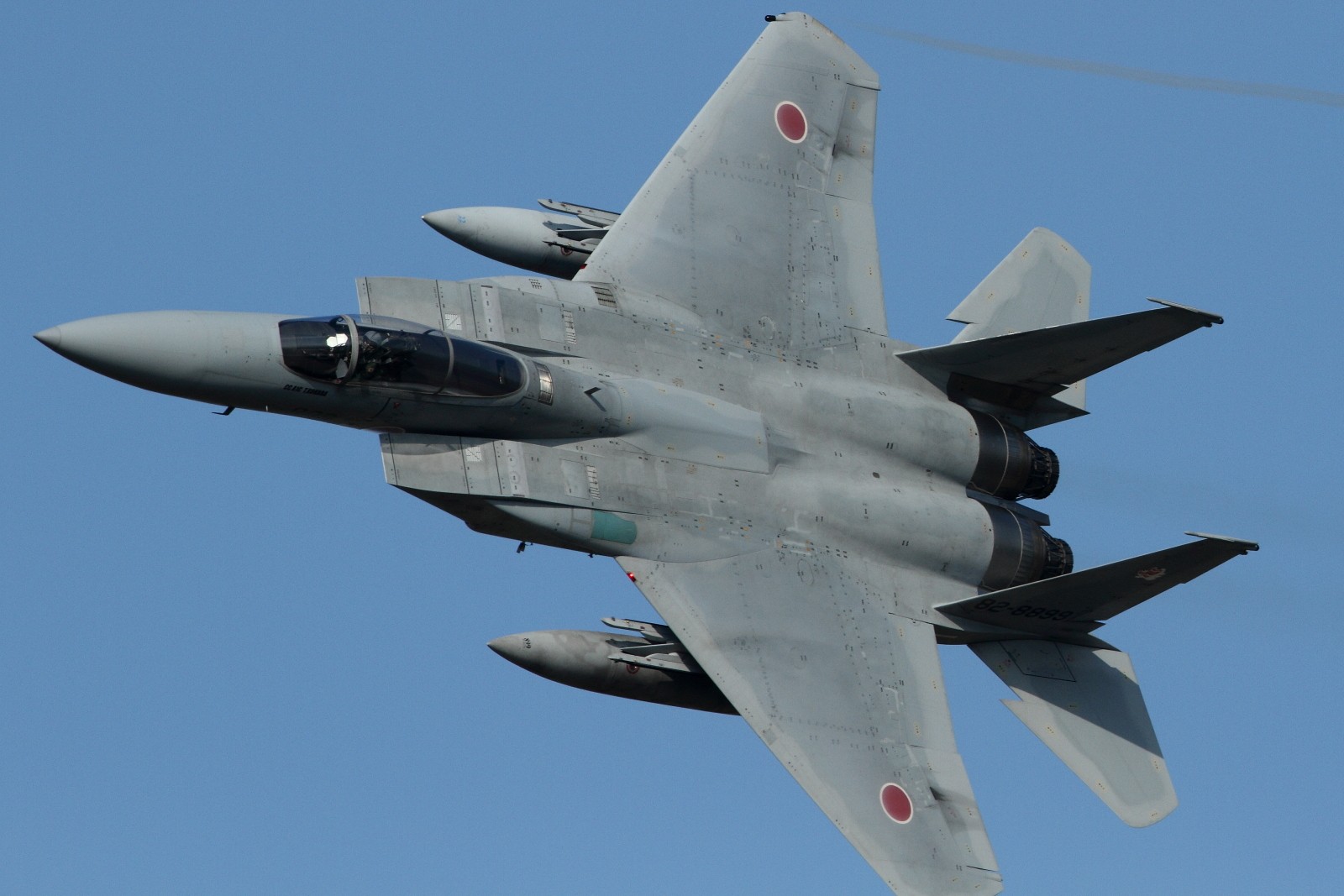 Mitsubishi F 15J Japan Air Self Defense Force Warplanes 1600x1067