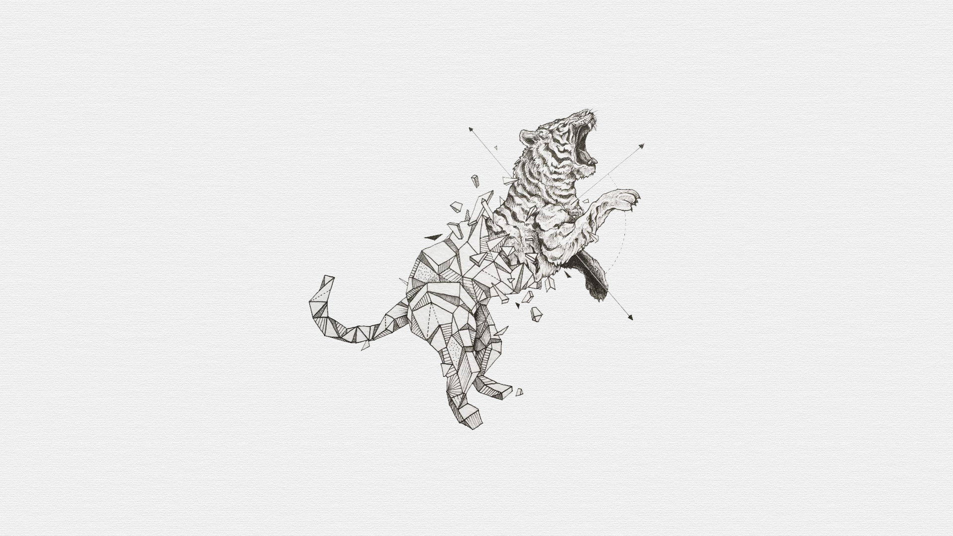 Digital Art Animals Tiger White Background Roar 1920x1080