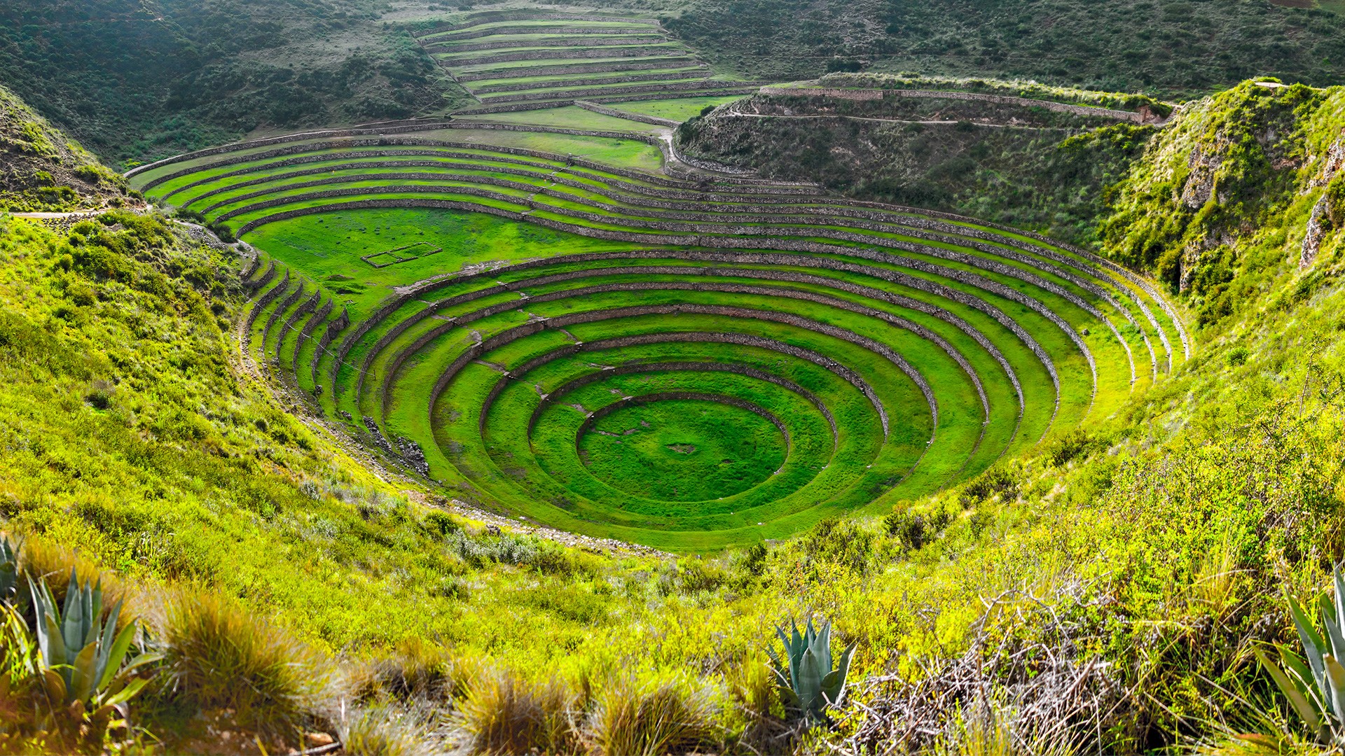 Nature Landscape Mountains Valley Plants Grass Forest Trees Rocks Ancient Inca Circle Terraces Peru 1920x1080