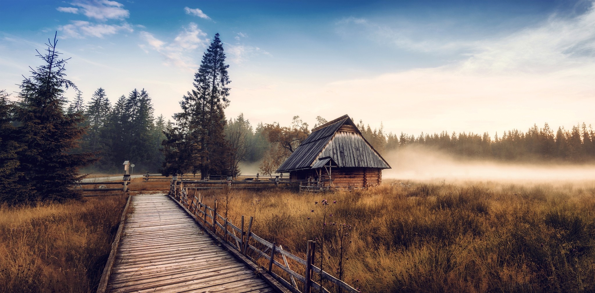 Nature Landscape Cabin Mist Fall Forest Walkway Dry Grass Pine Trees 2048x1008
