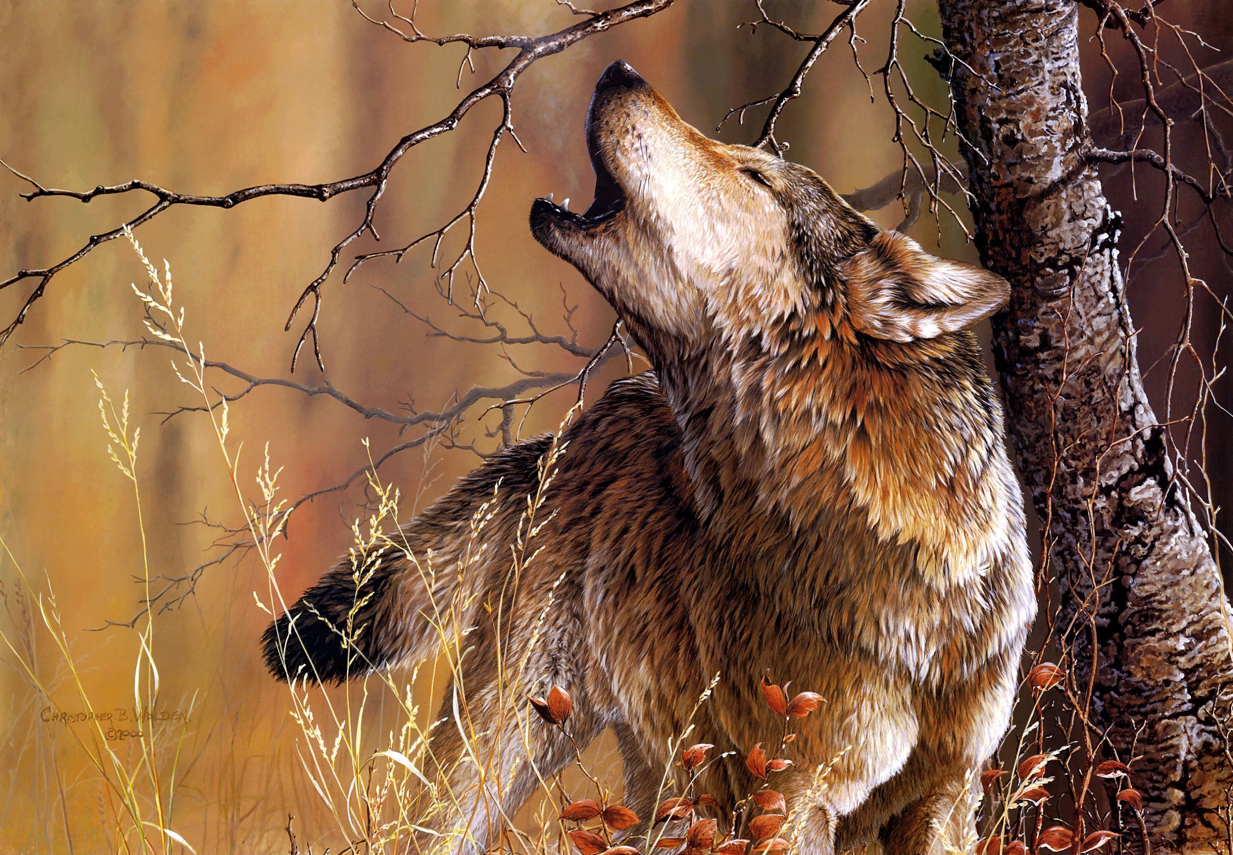 Forest Wood Artistic Animal Wolf Howling Painting 2422x1679