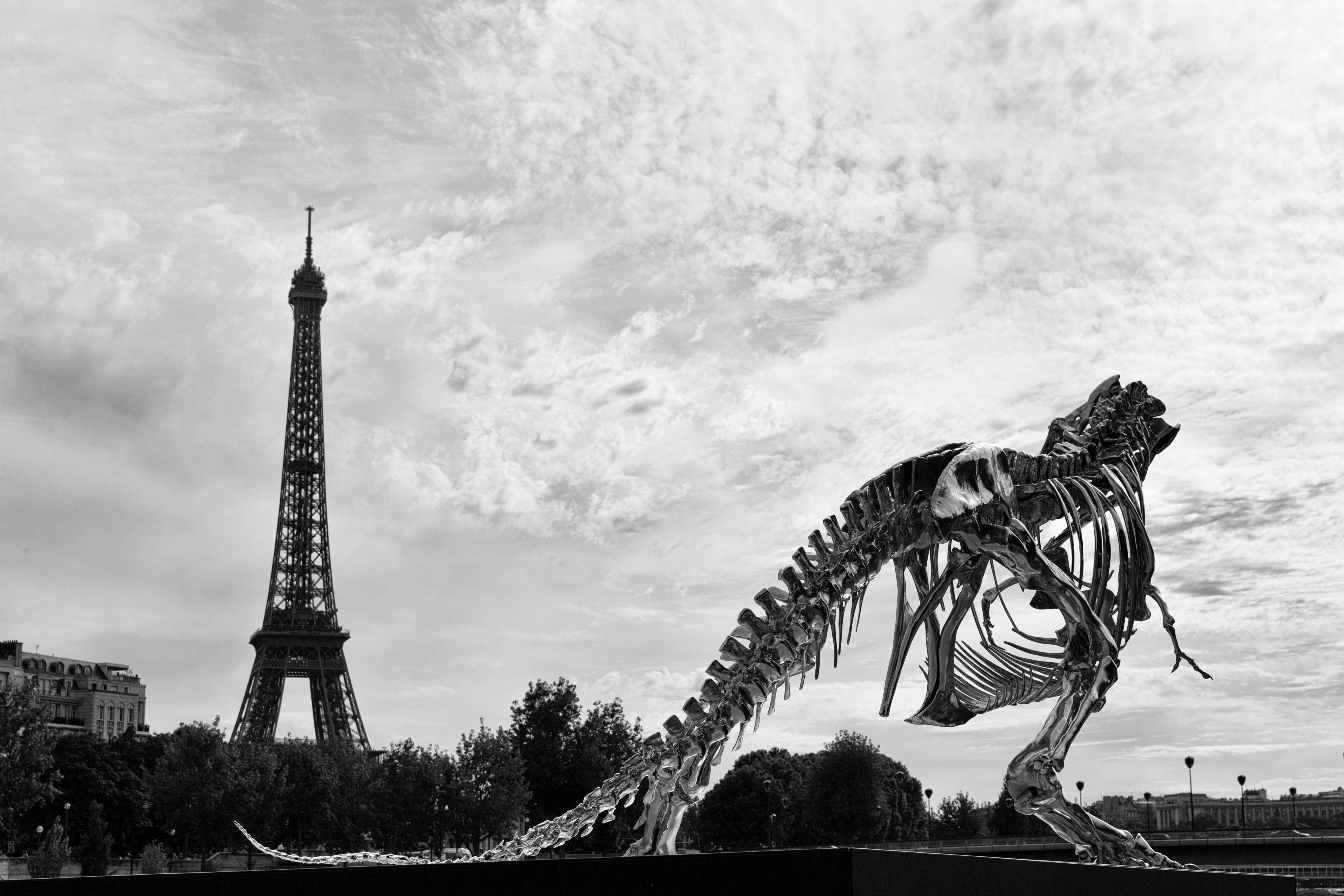 Paris Tyrannosaurus Rex Skeleton Black Amp White Monochrome Vintage Eiffel Tower 5191x3461