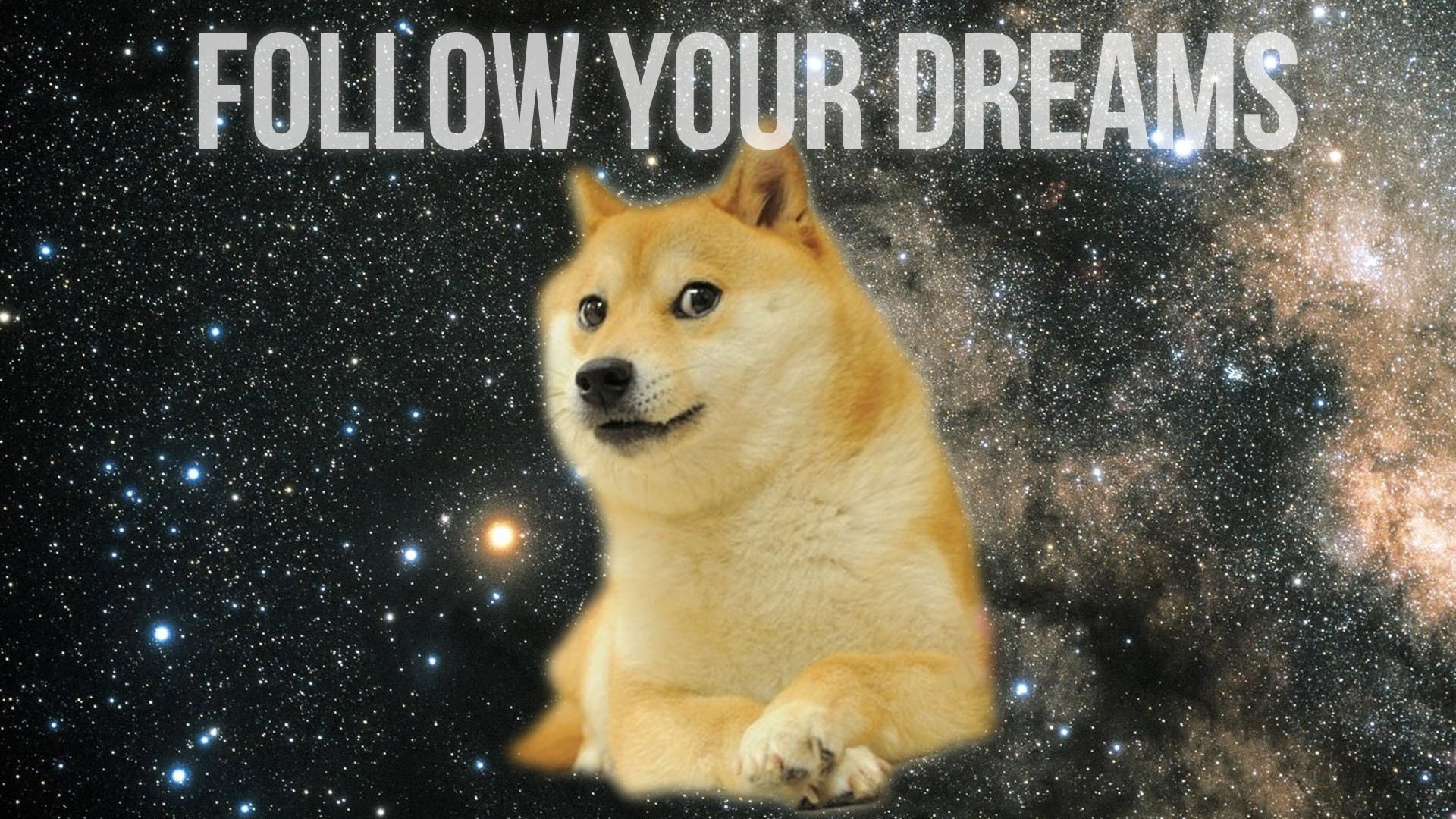 Doge Inspirational Animals Motivational Memes 1920x1080