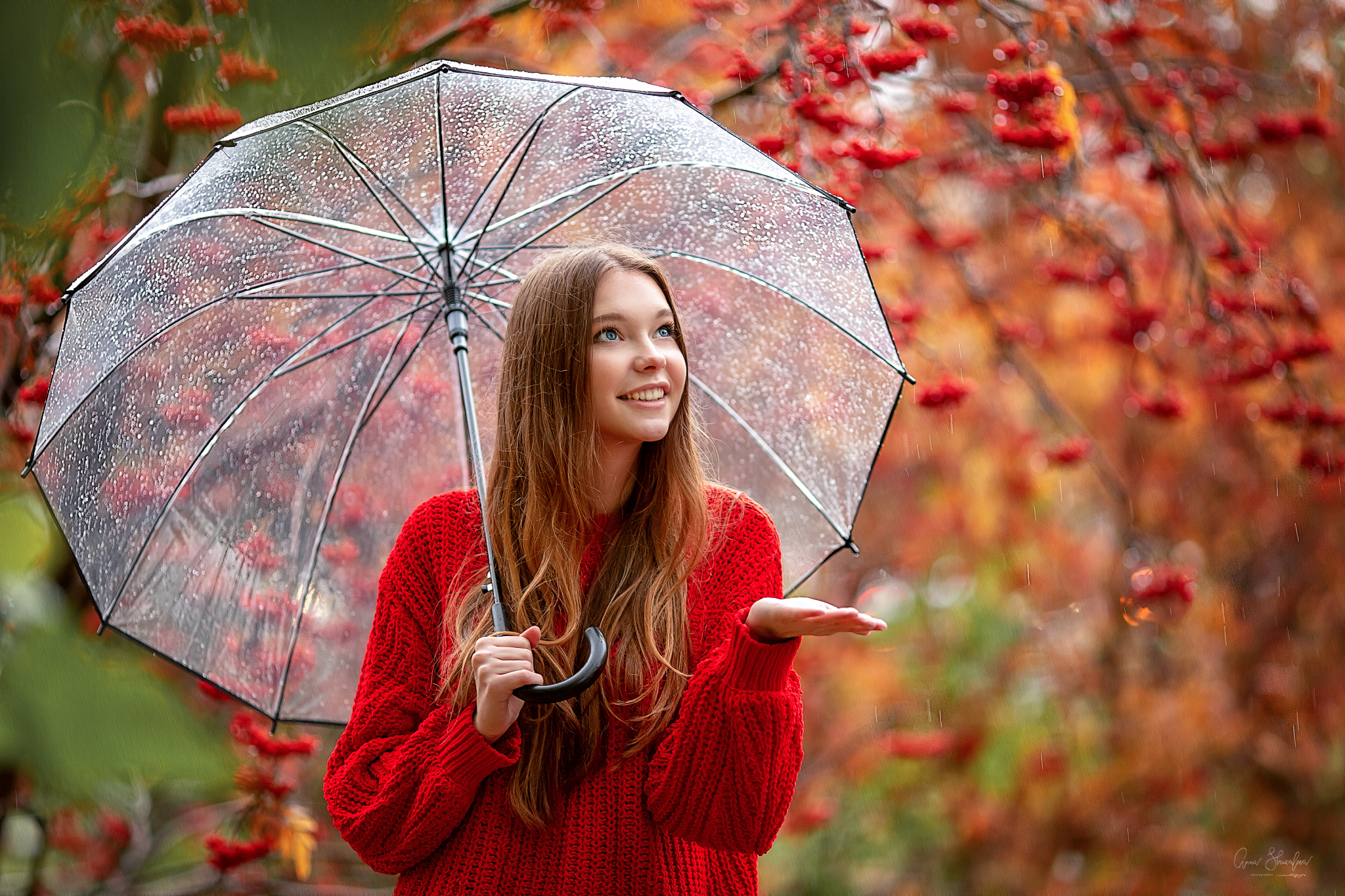 Women Model Brunette Outdoors Portrait Sweater Red Sweater Looking Up Smiling Rain Umbrella Long Hai 2048x1365