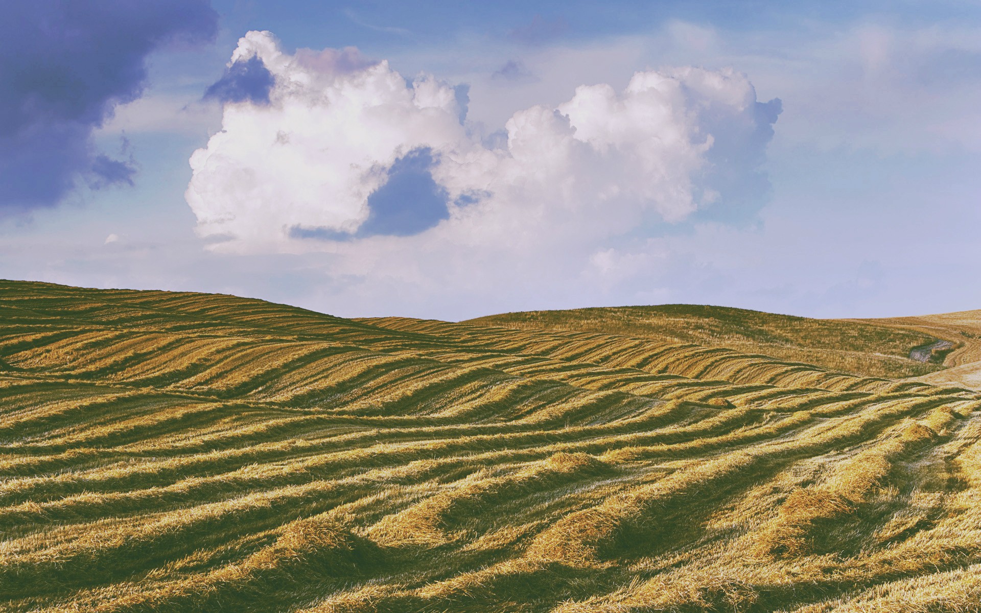 Русское вспаханное поле. Паданская низменность (равнина). Холмистая равнина. Ступенчатые равнины. Холмистая степь.