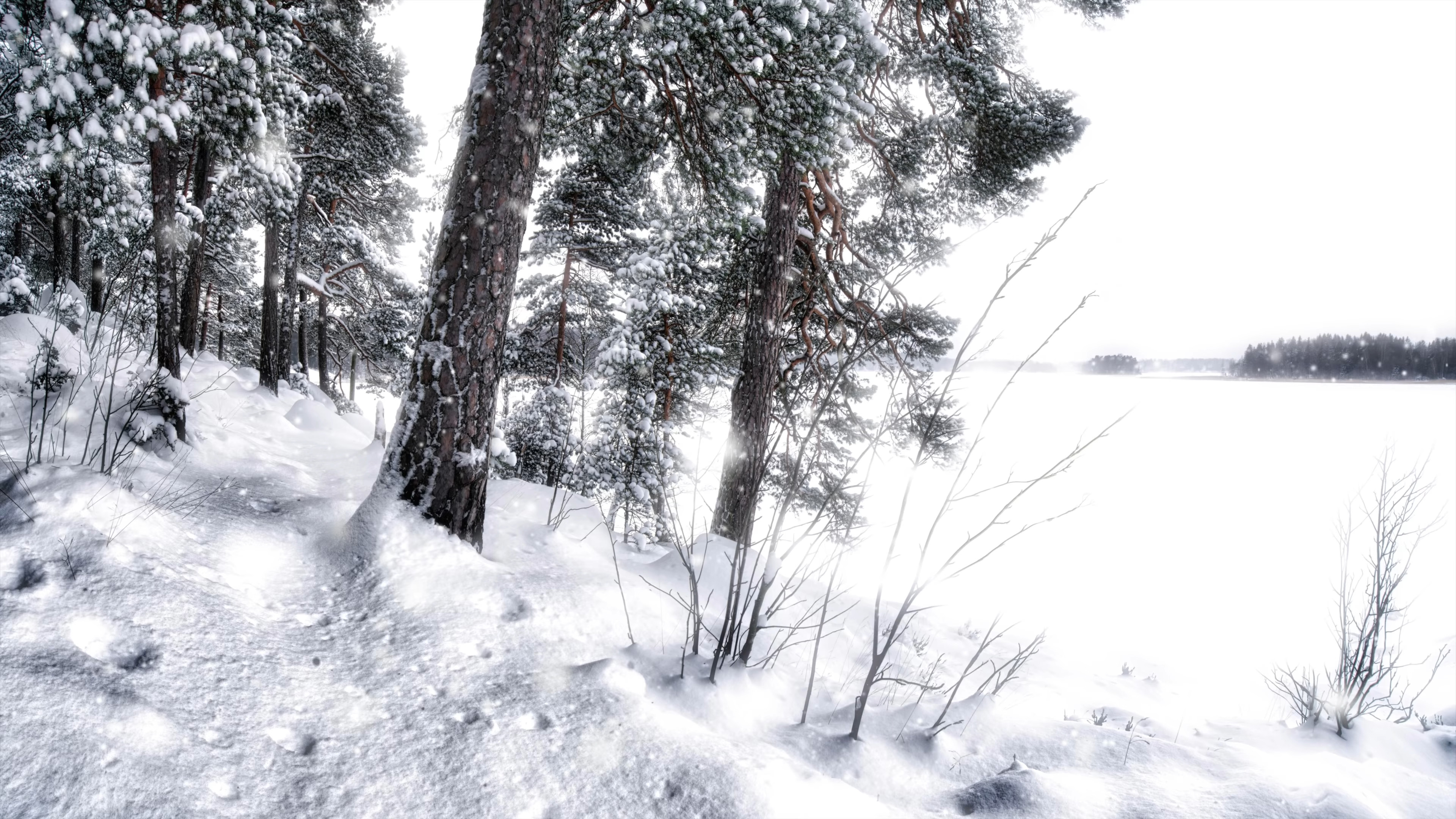 Wintersun Metal Band Music Winter Trees Snow Lake Finland 3840x2160