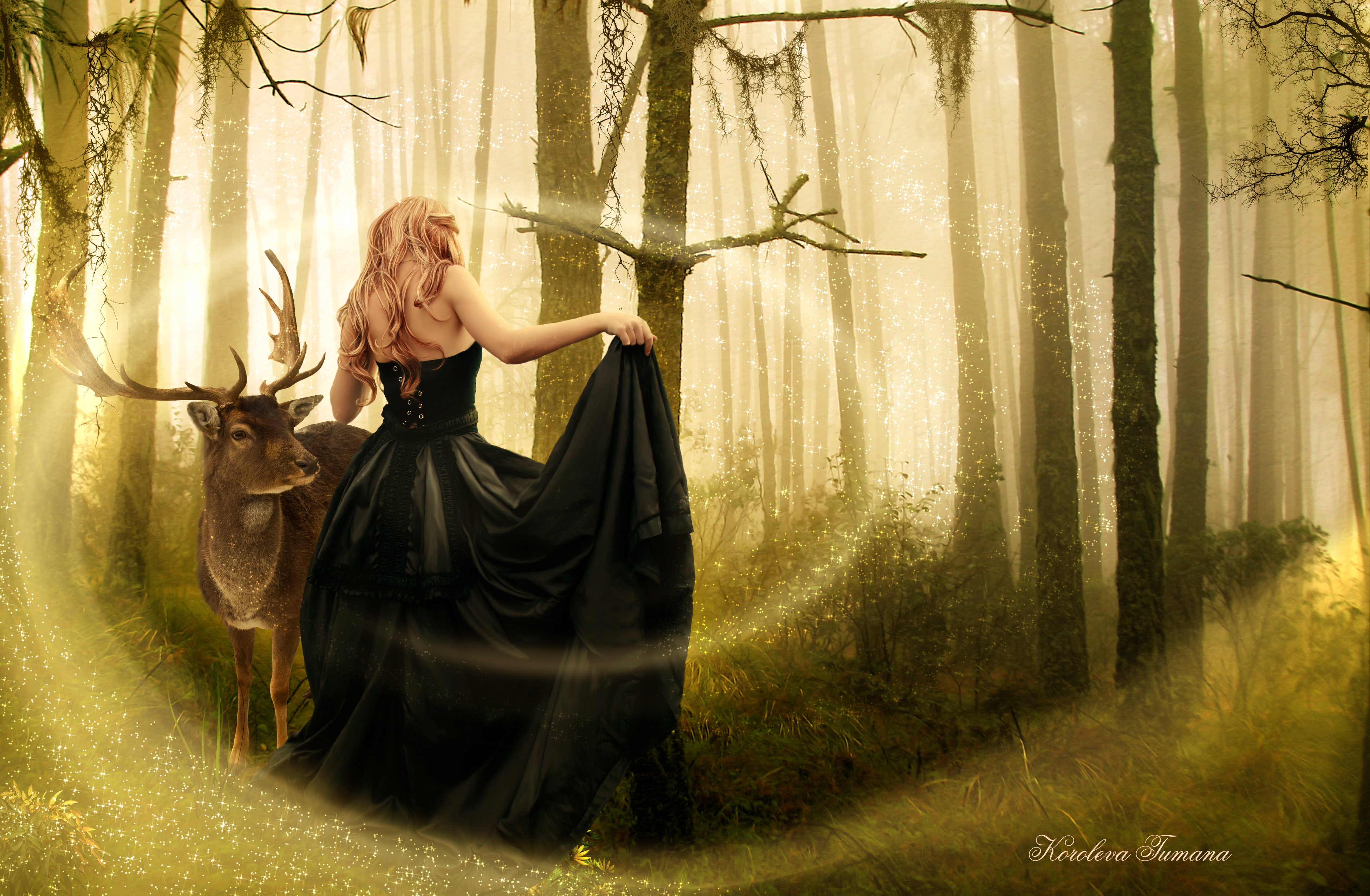 Fantasy Woman Girl Gothic Forest Buck Deer 3900x2550