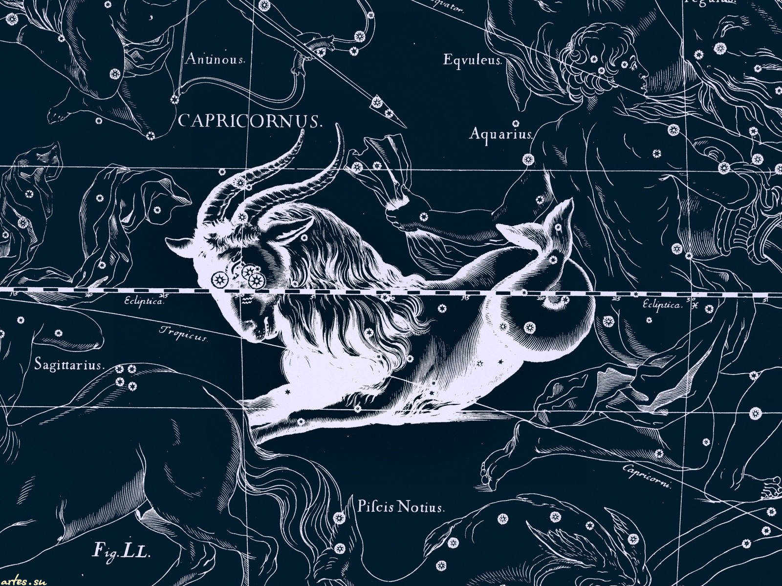 Zodiac Sign Horoscope 1600x1200