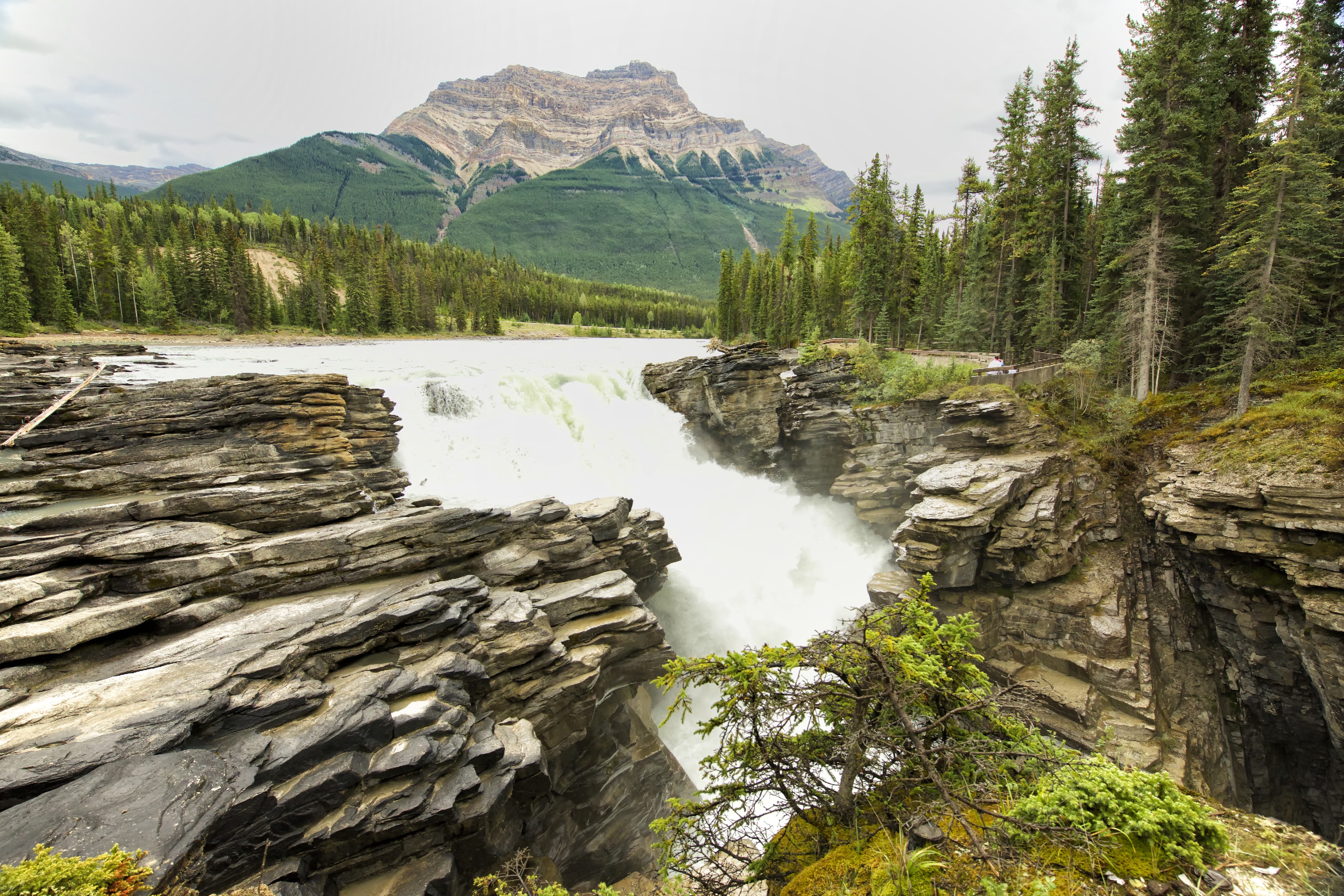 Athabasca Falls Waterfall Jasper National Park Canada River Forest Rock Mountain Nature 3391x2261