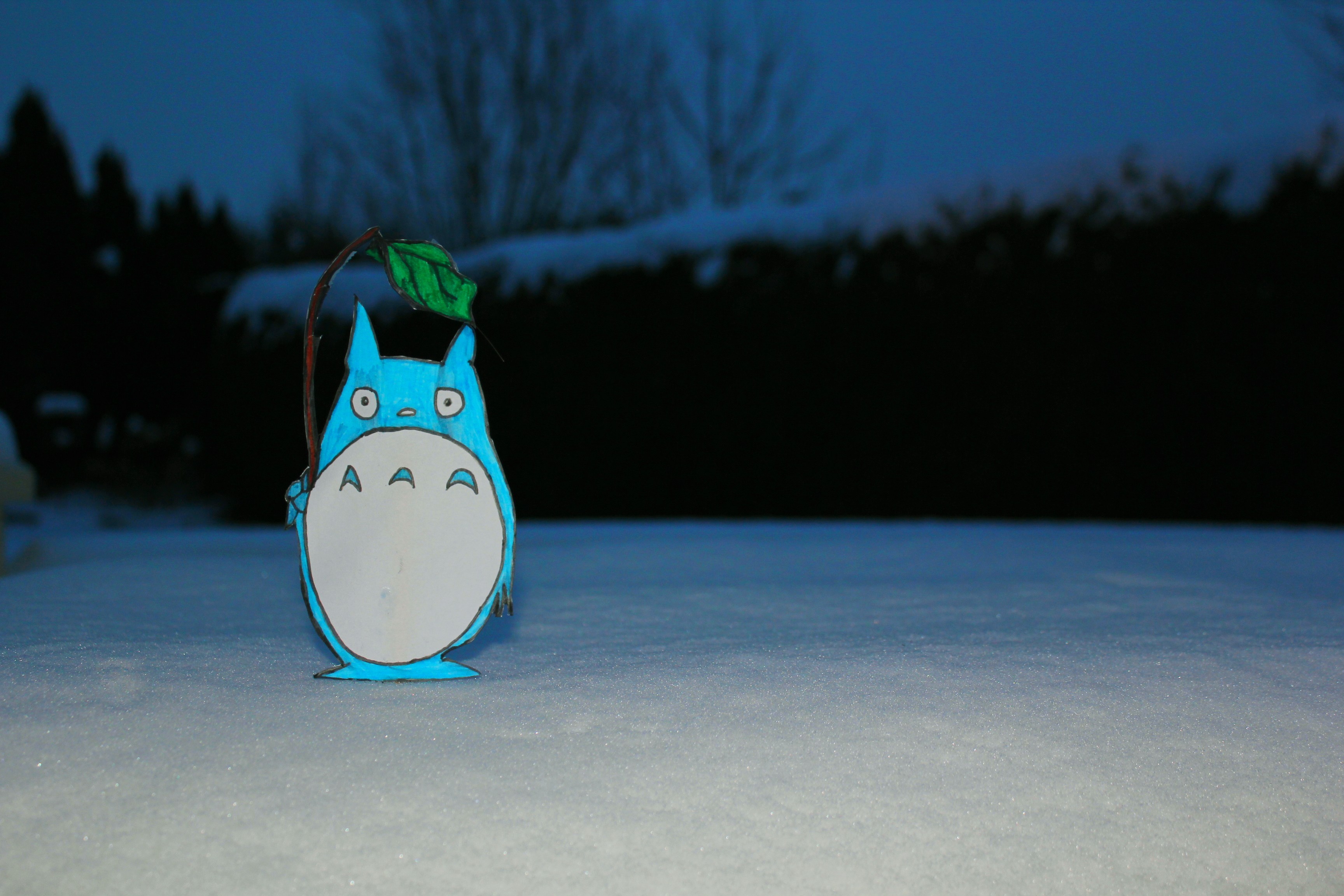 Totoro Anime Snow 3456x2304