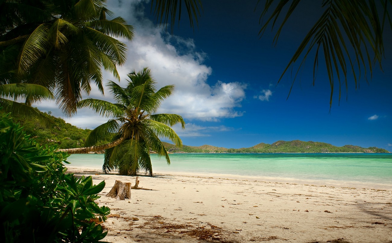 Landscape Photography Nature Beach Palm Trees Sand Sea Hills Blue Sky Tropical Summer Island Seychel 1300x806