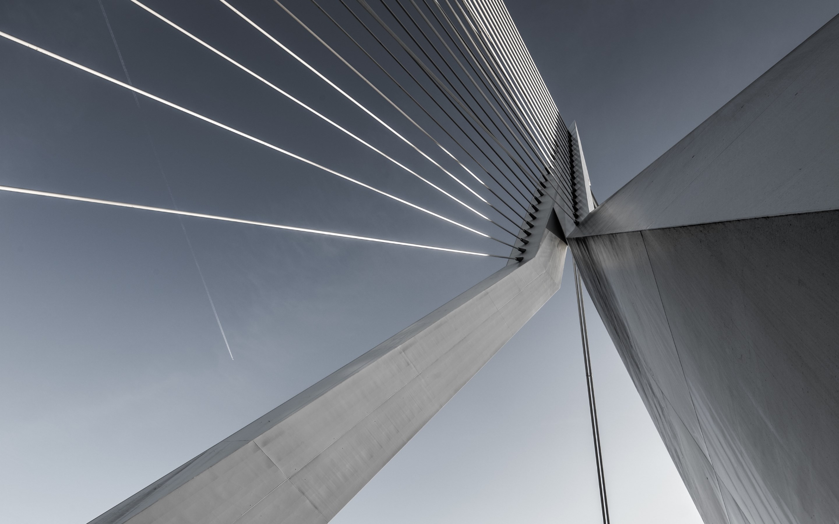 Photography Architecture Erasmusbrug Bridge Rotterdam Gray 2880x1800
