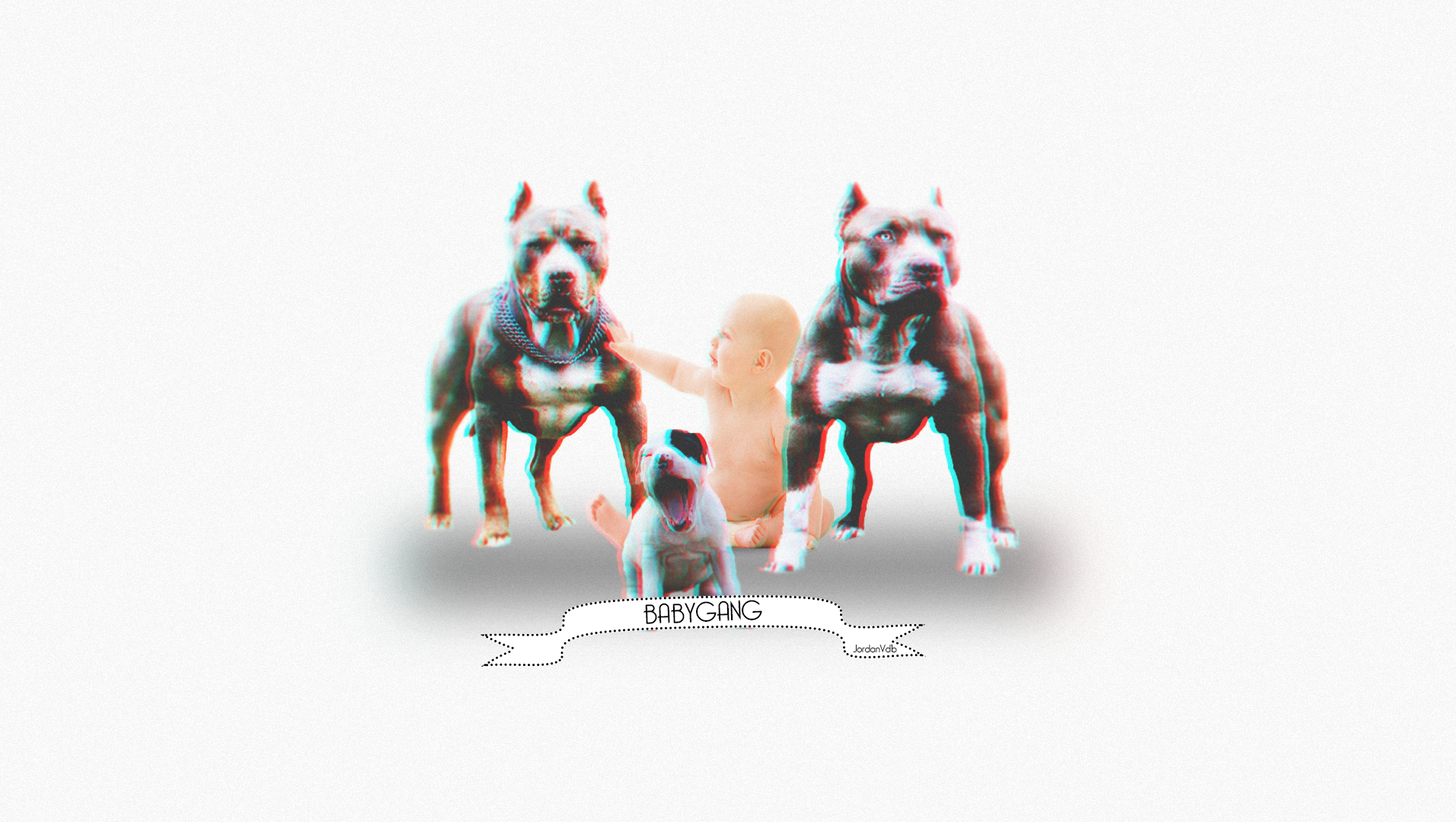 Dog Pit Bull Baby Distortion 1912x1080