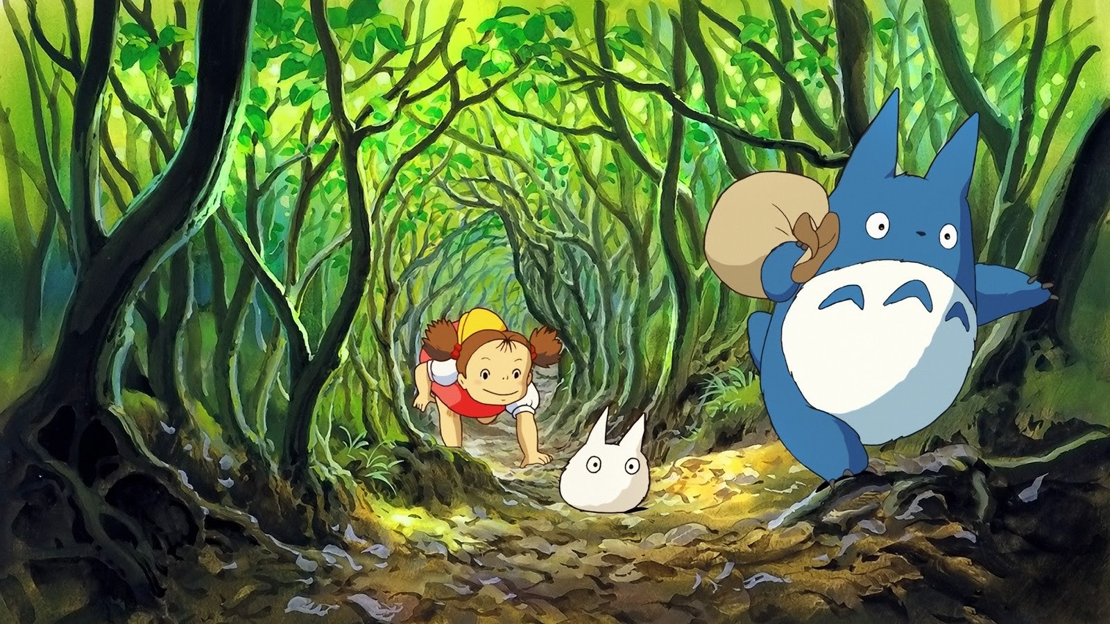 My Neighbor Totoro Studio Ghibli Anime 1600x900