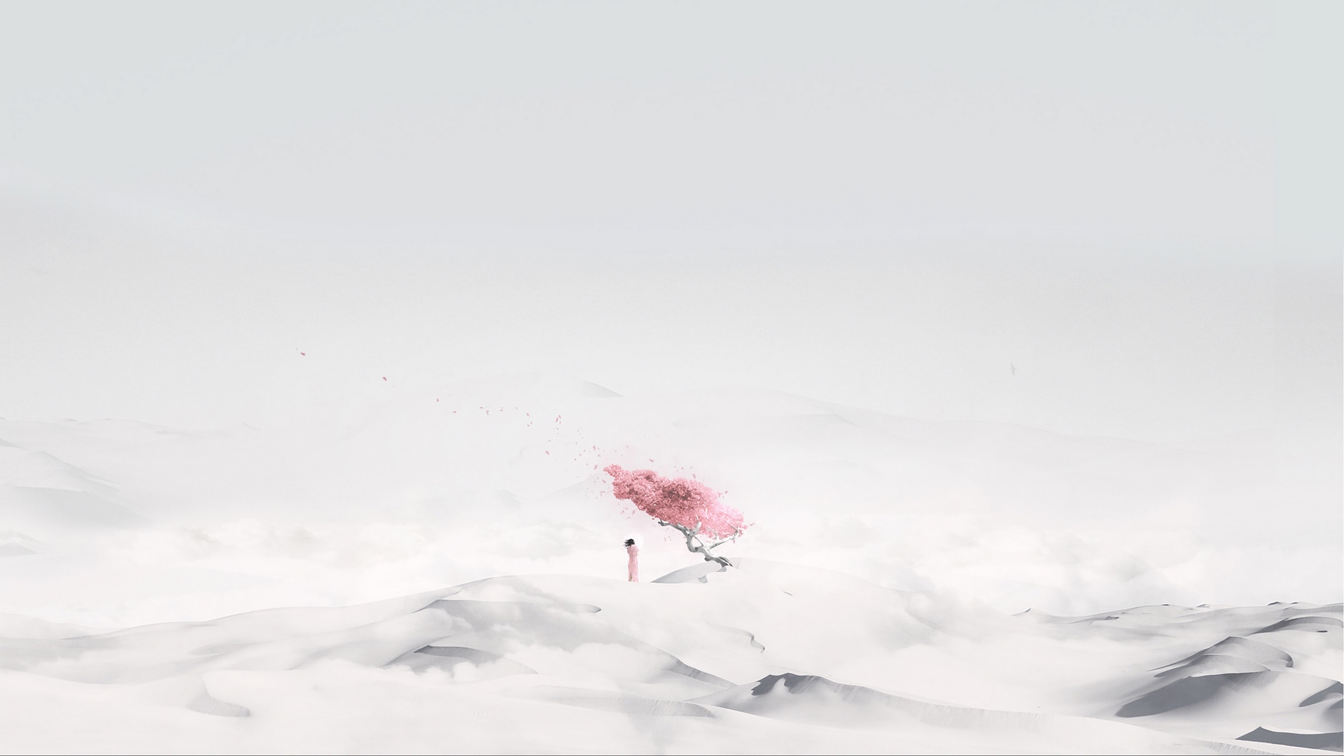 Artwork Sakura Tree Alone Isolation Minimalism White 1920x1080