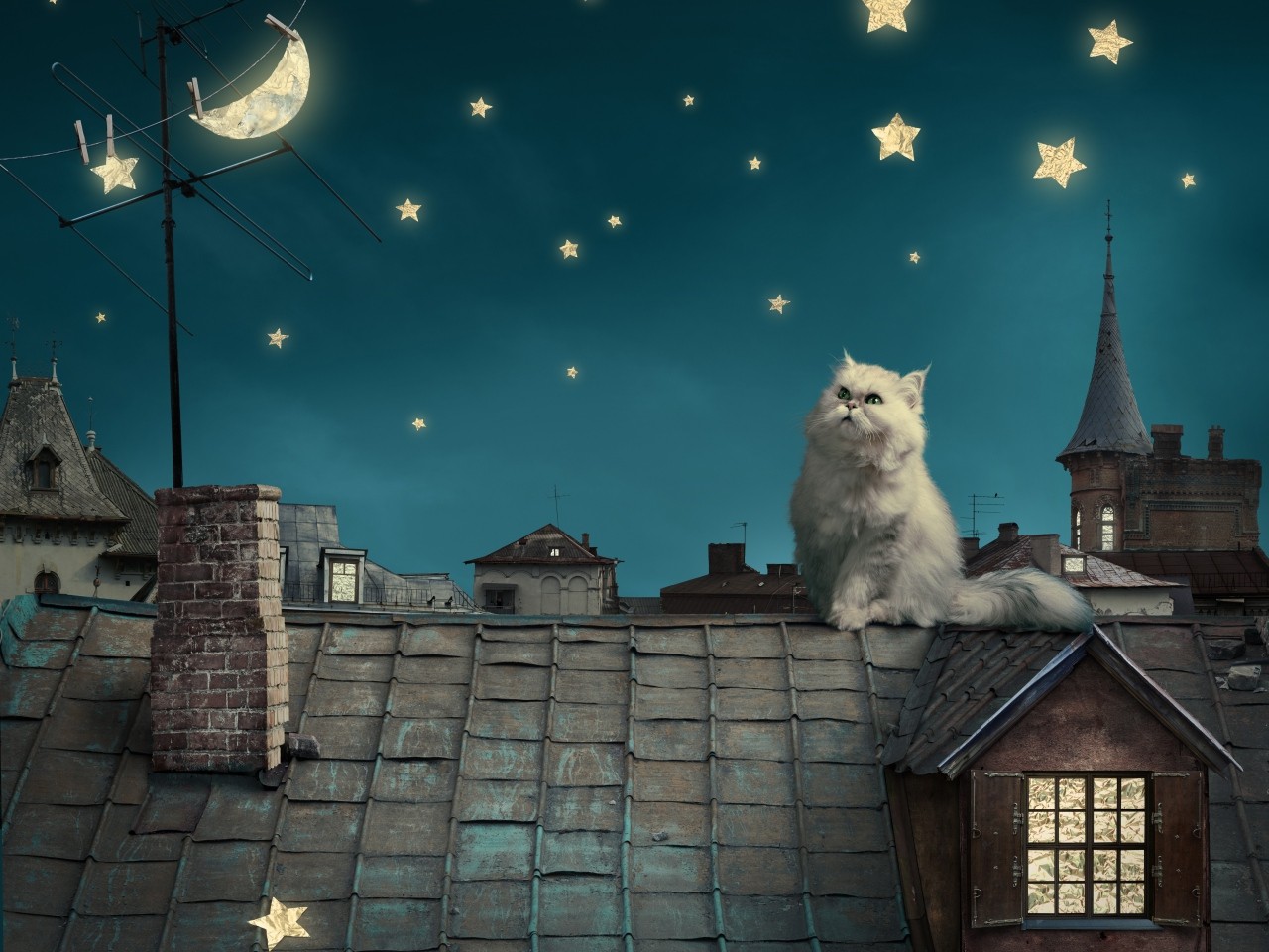 Night Cats Stars Moon Fantasy Art Persian Cat Rooftops 1280x960