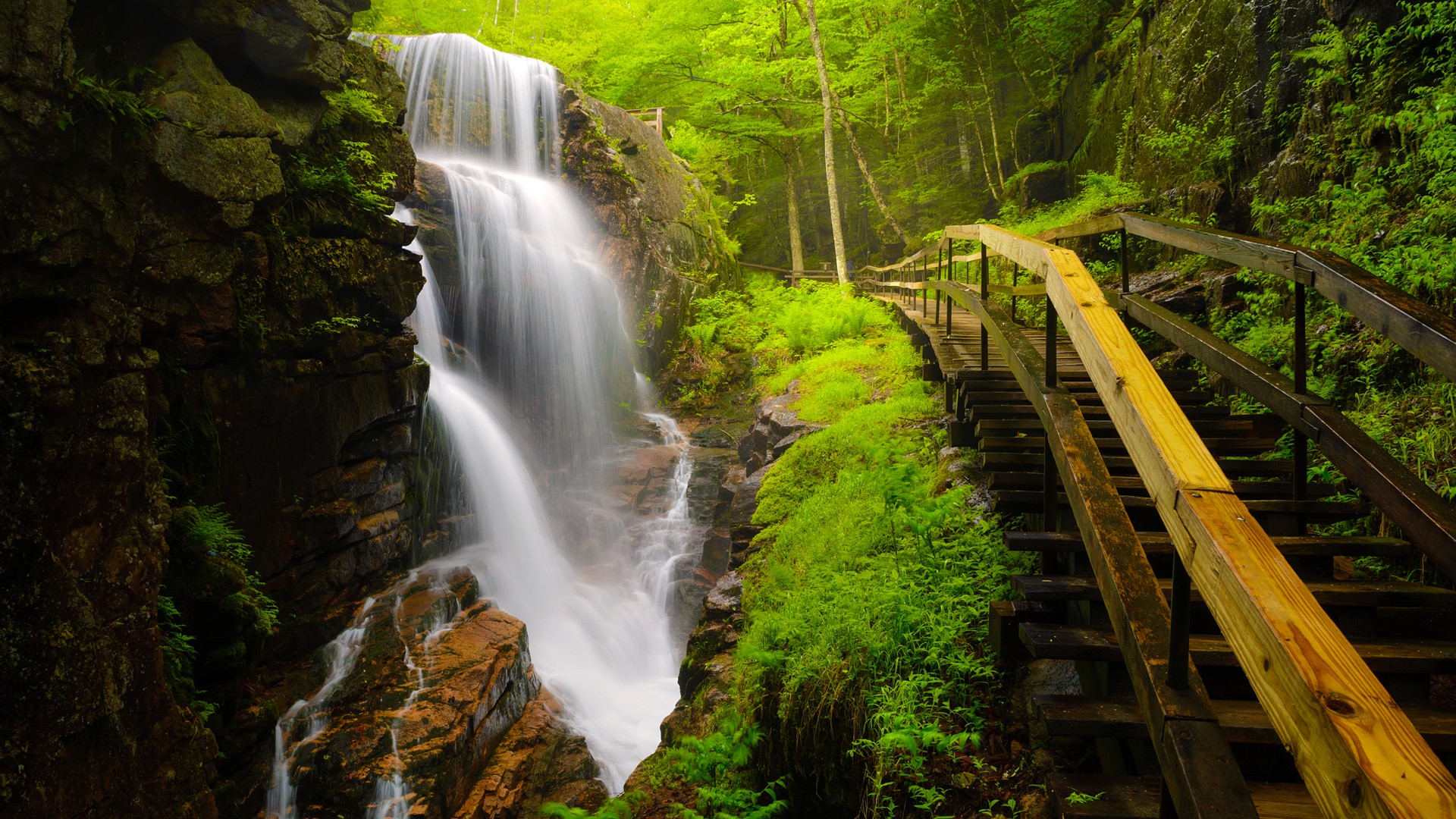 Nature Landscape Trees Rocks Water Plants Grass Moss Long Exposure Avalanche Falls New Hampshire USA 1920x1080