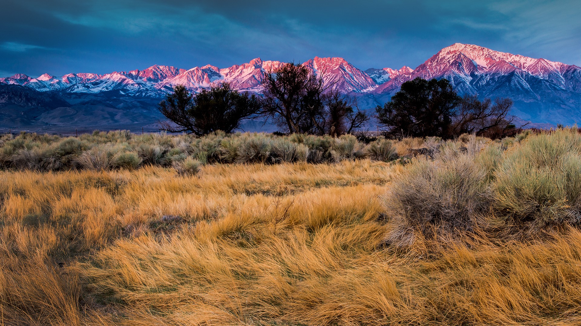 Nature Landscape Mountains Trees Grass Plants Clouds Sky Snowy Mountain Sunrise Basin Mountain Calif 1920x1080