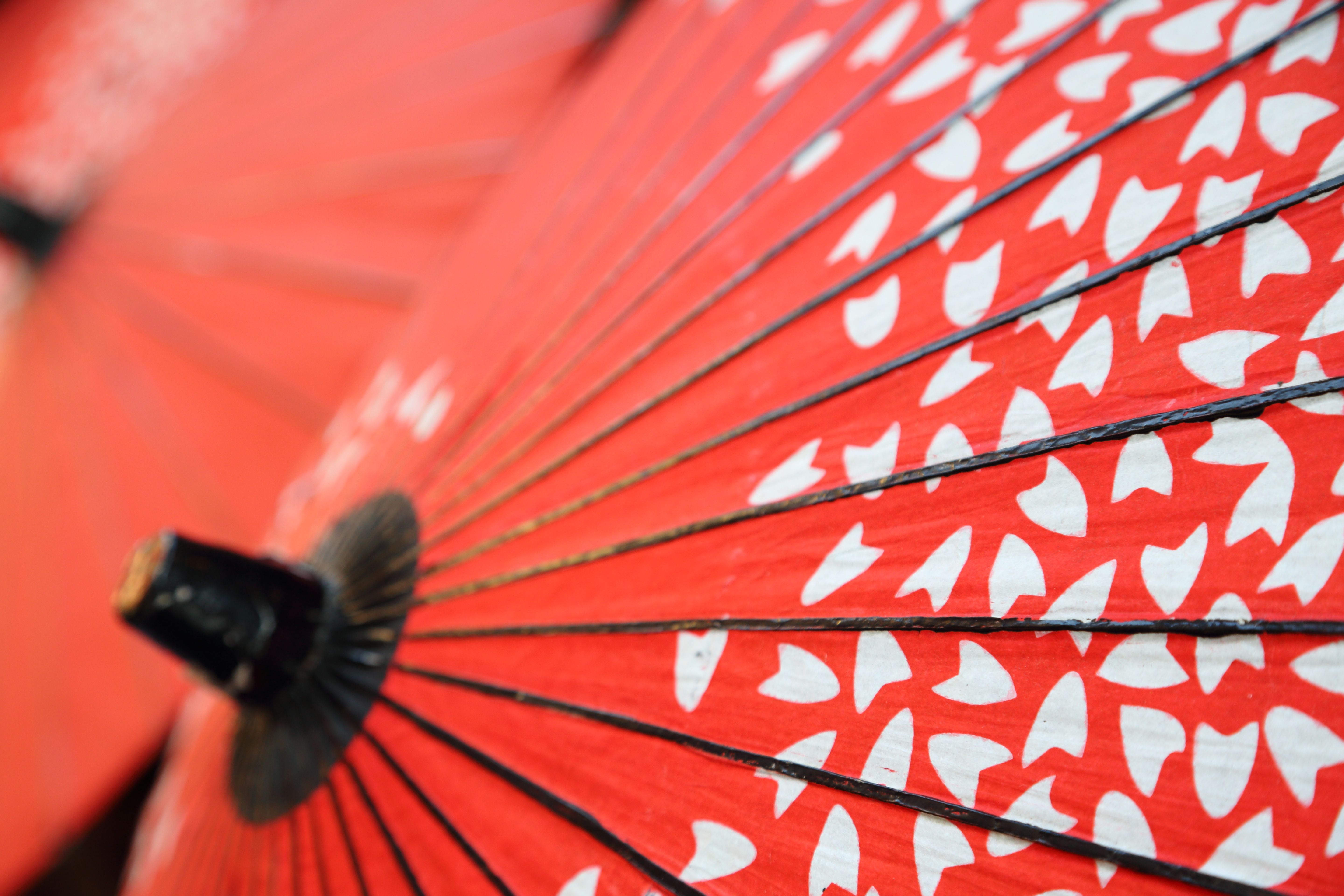 Umbrella Japan Red 5760x3840