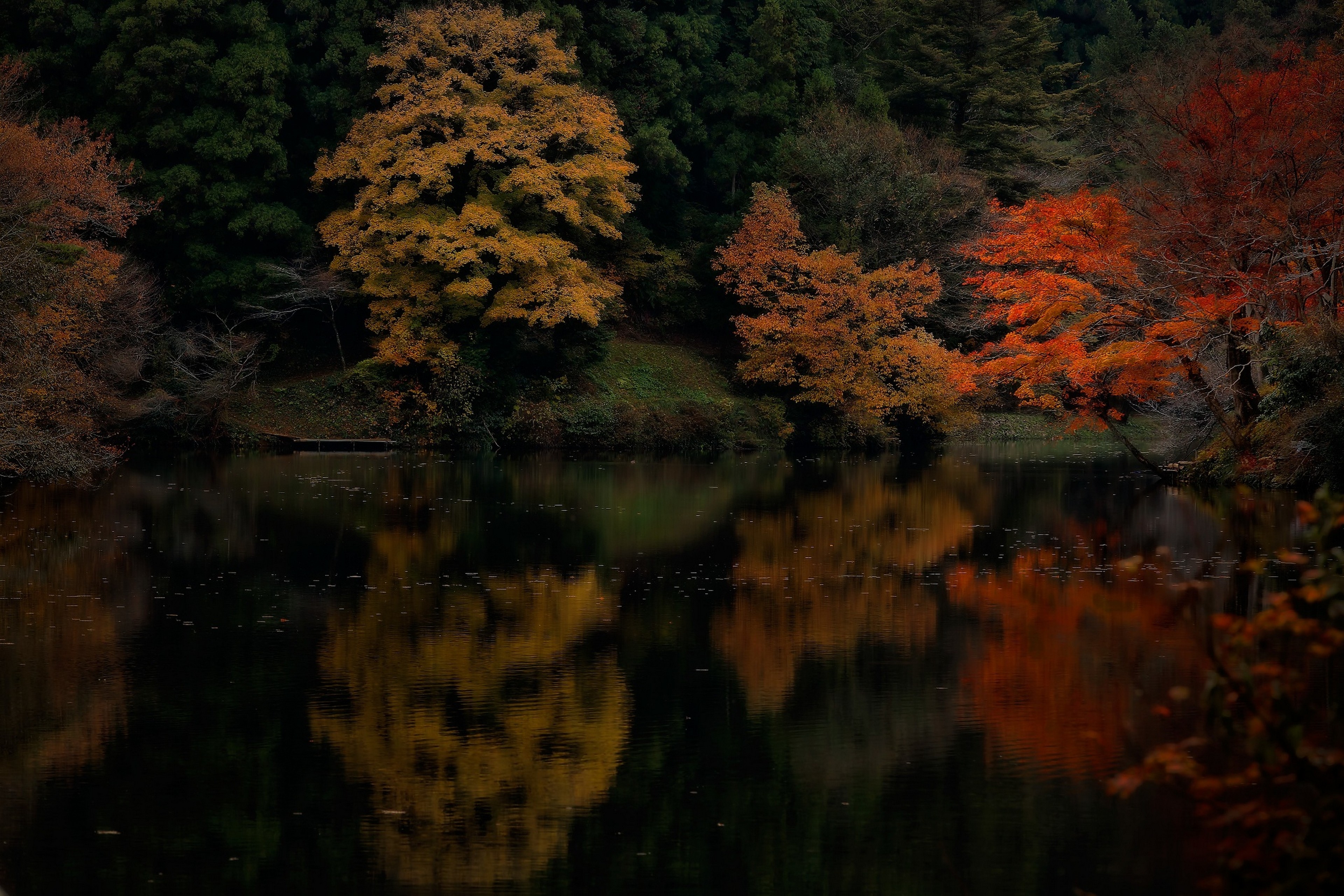 Nature Landscape Fall Lake Forest Water Reflection Trees Maple Leaves Colorful 3840x2560