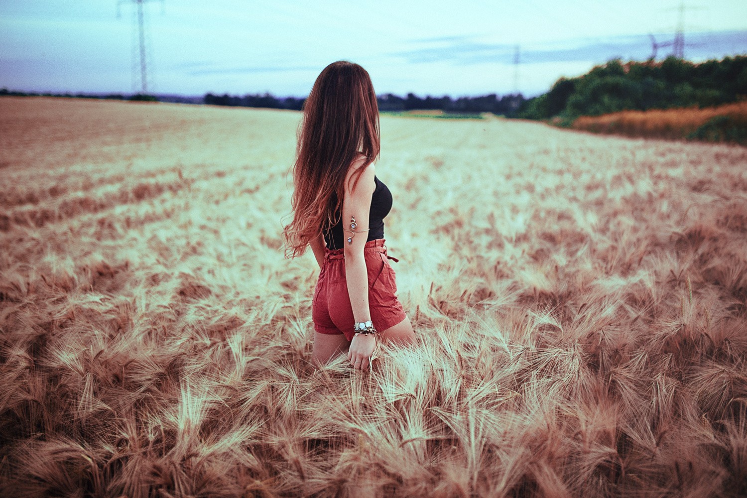 Women Model Brunette Depth Of Field Long Hair Field Rear View Shorts Crops Women Outdoors Power Line 1500x1000