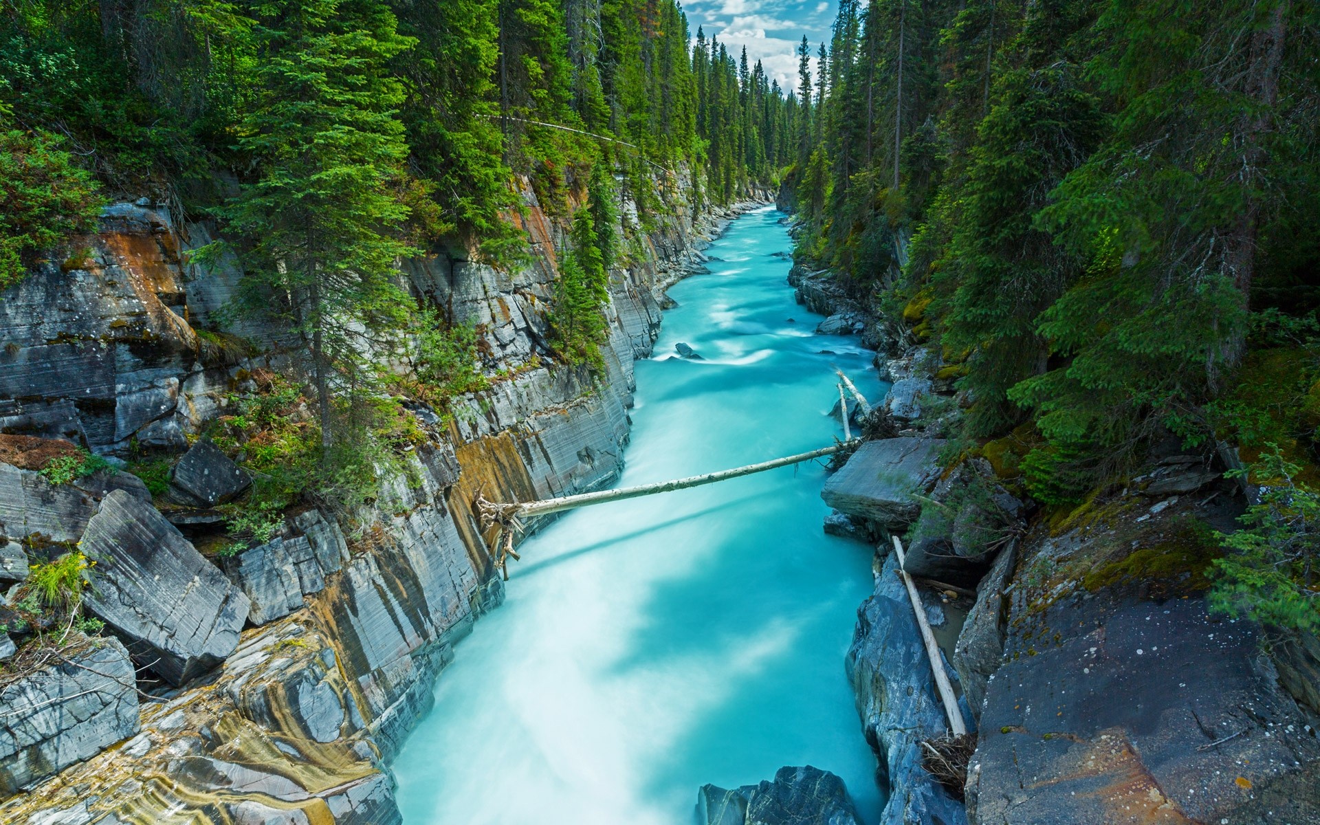 Nature Landscape Canada Forest River Trees Turquoise Gorge Rocks Rocks Wall 1920x1200
