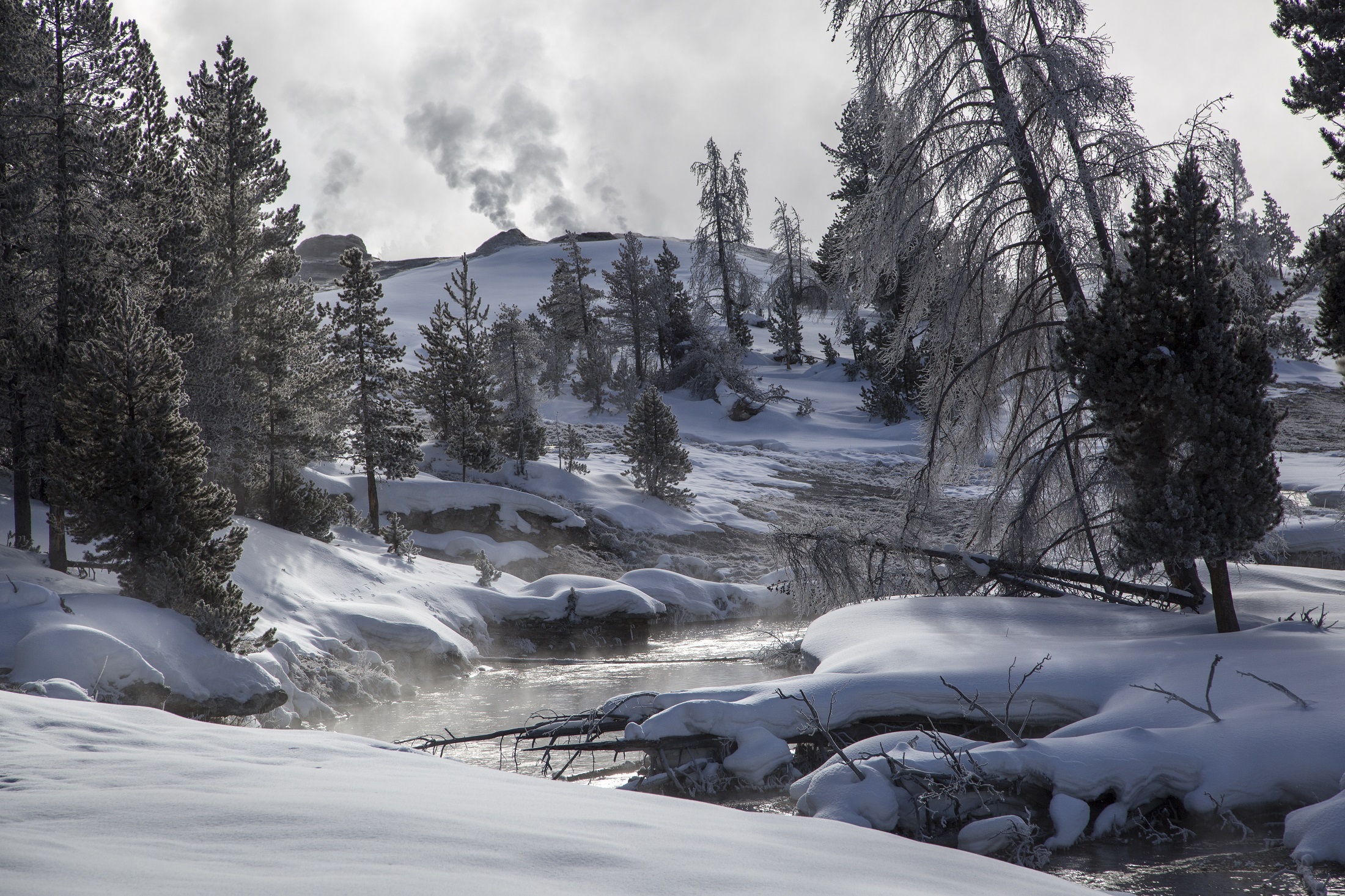 Yellowstone Wyoming Winter Tree Landscape Snow Wilderness River Nature 2200x1466