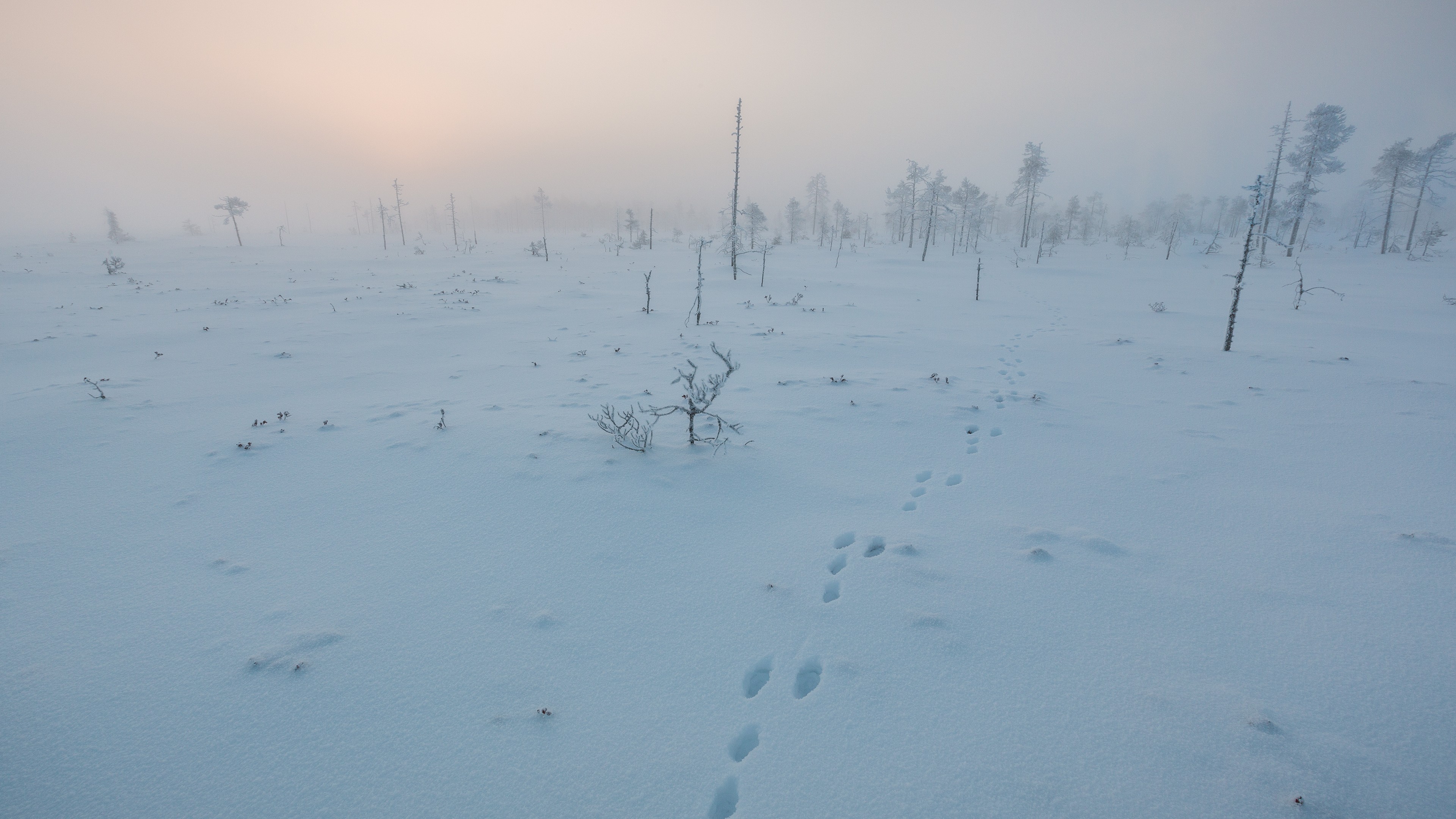 Winter Snow Landscape Calm Cold Tundra 3840x2160