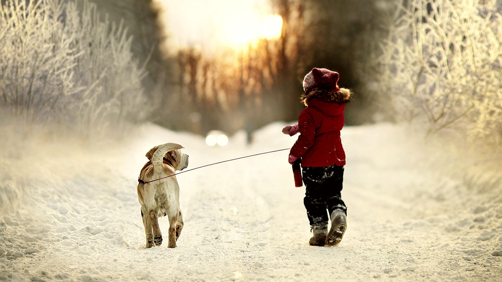 Dog Children Winter Snow Dangerous 1920x1080