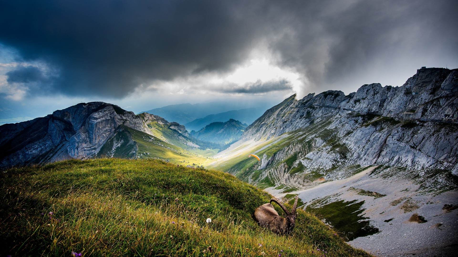 Nature Landscape Mountains Clouds Trees Forest Hills Grass Switzerland Animals Chamois Parachutes Ro 1920x1080