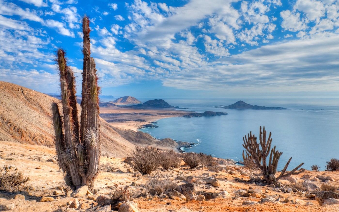 Nature Landscape Beach Cactus Sea Hills Clouds Atacama Desert Coast Chile National Park Desert 1400x875
