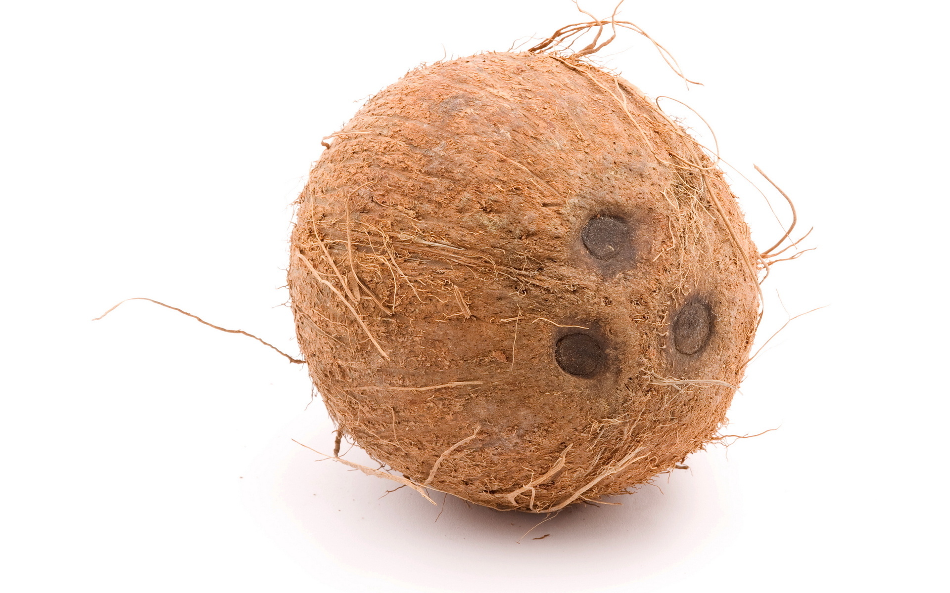 Food Coconut 1920x1200