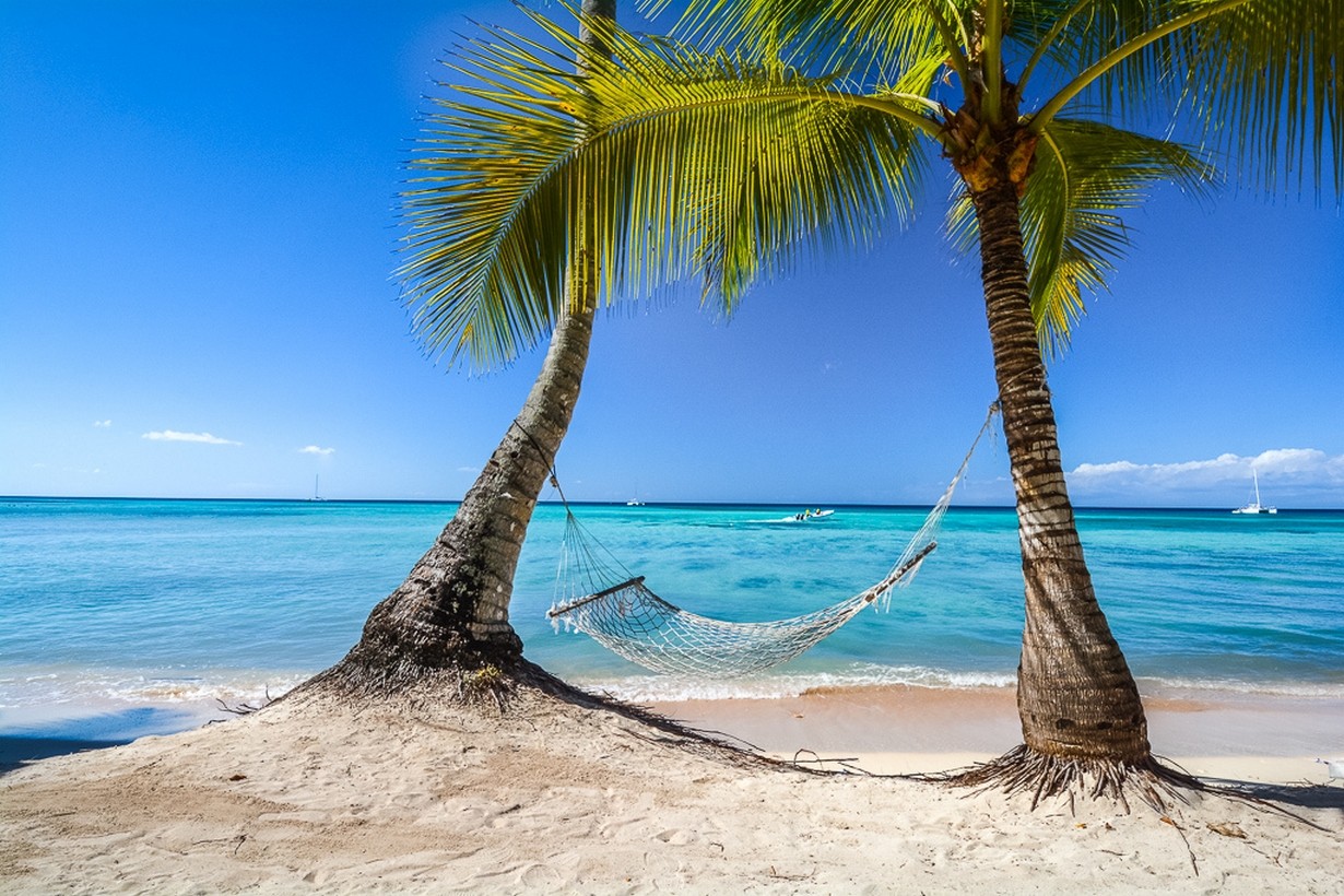 Photography Landscape Nature Tropical Beach Palm Trees Hammocks Caribbean Sea Summer Sand Sailboats  1230x820