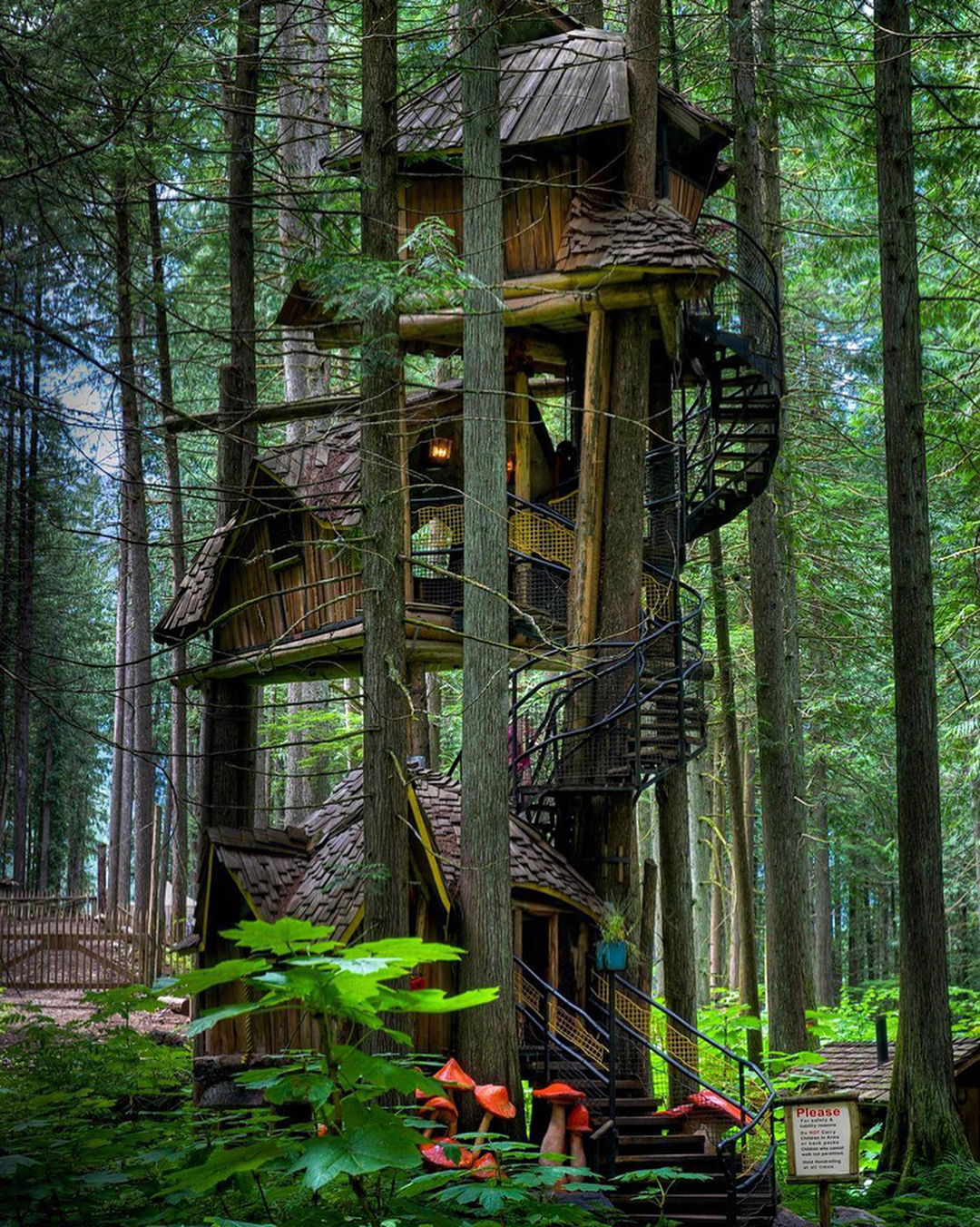 Trees Forest Nature Treehouse Tree Trunk Portrait Display Cabin Leaves Staircase Mushroom Wood 1080x1352