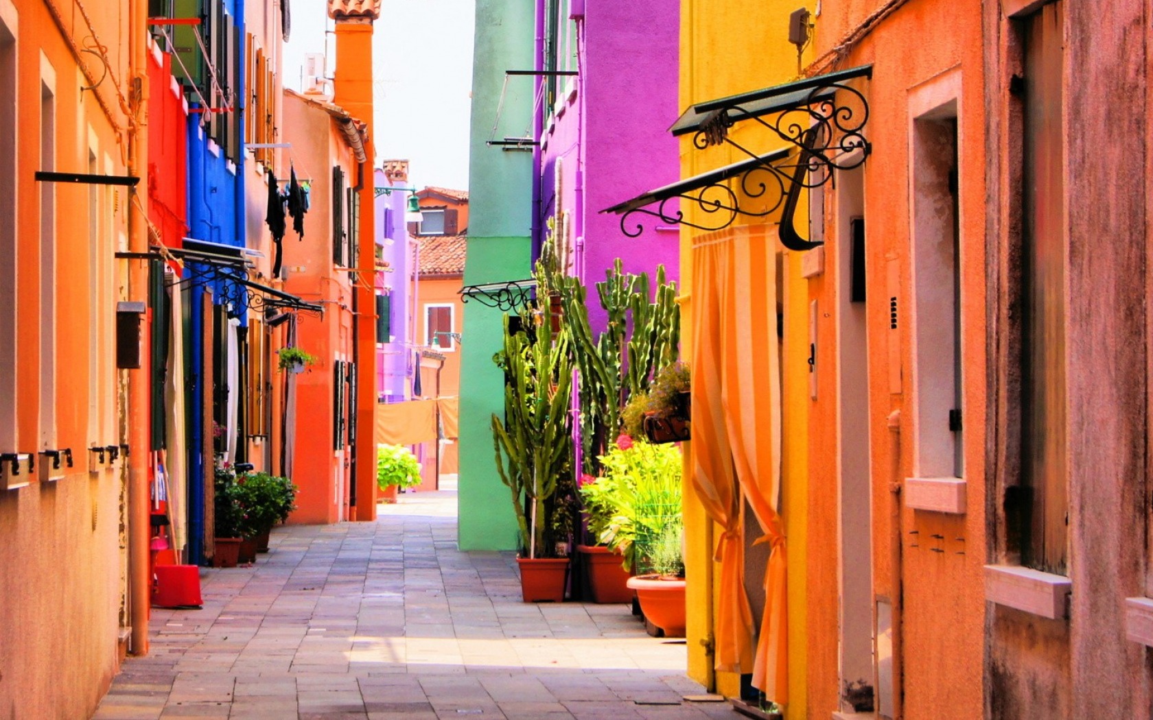 Man Made Street House Colors Colorful Pot Plant 1680x1050