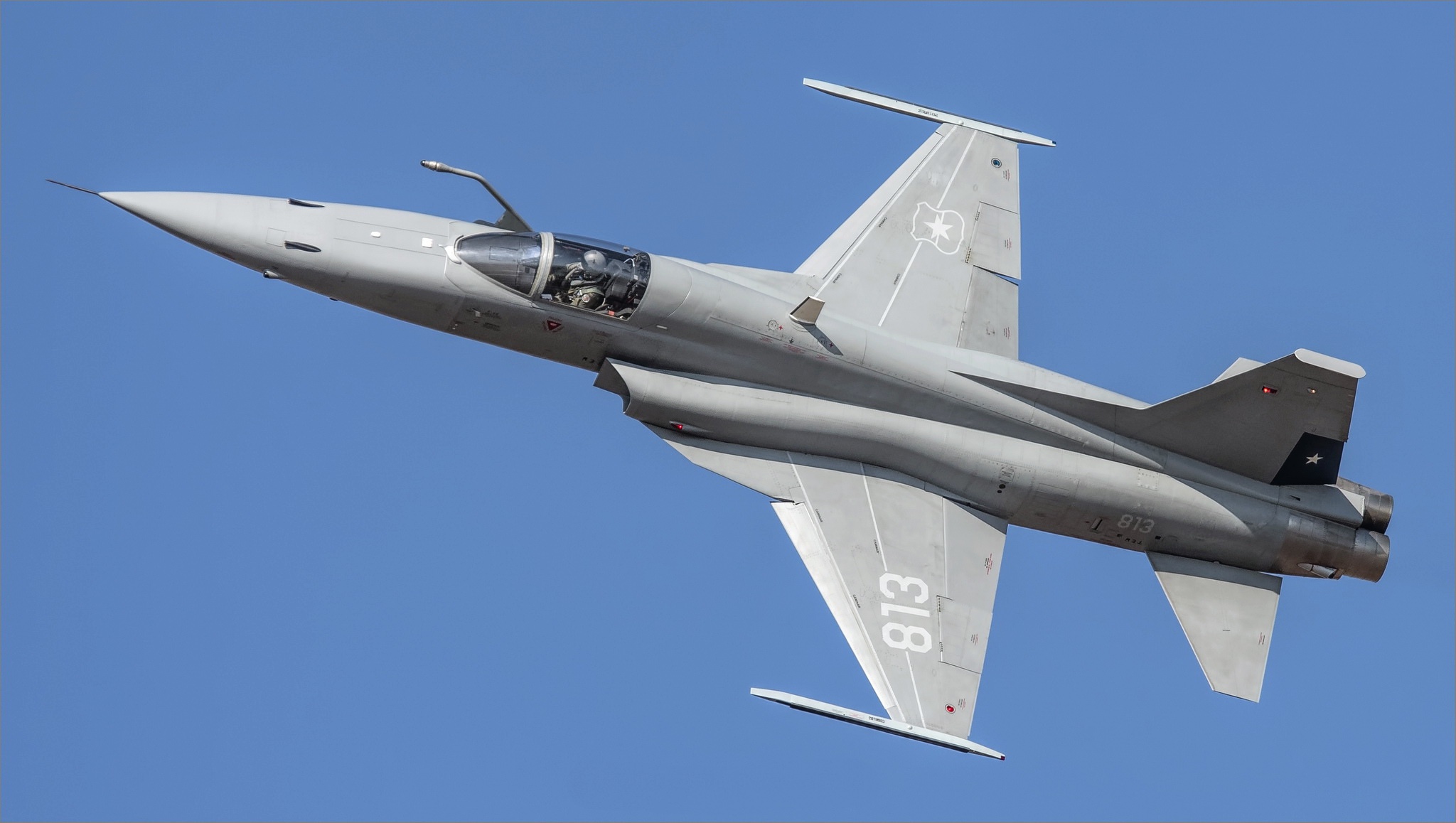 Ал ф 5. Самолет ф-5 Тайгер. Истребитель ф5. F5e самолет. F-5f.