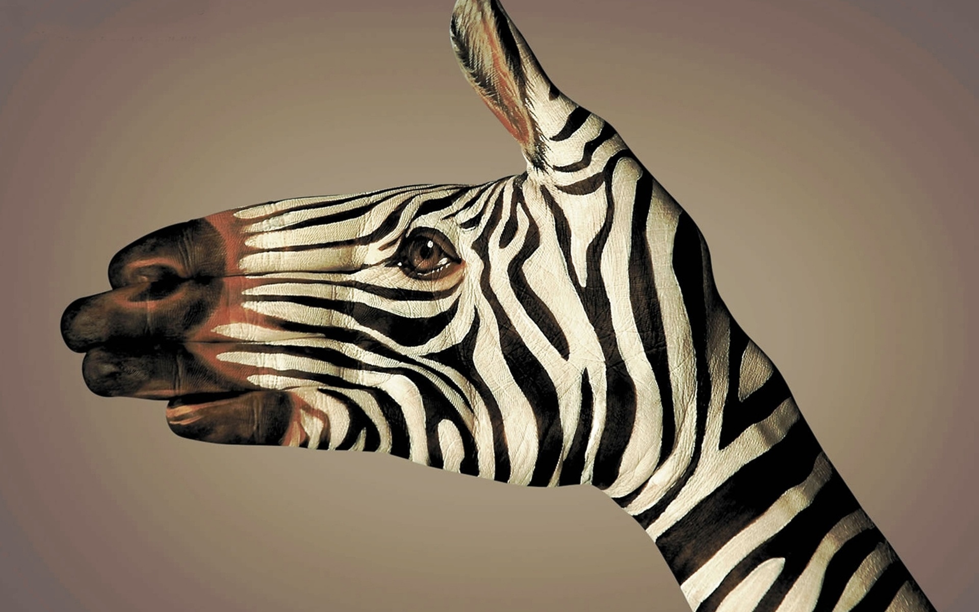 Body Art Hands Zebras Simple Background 1920x1200