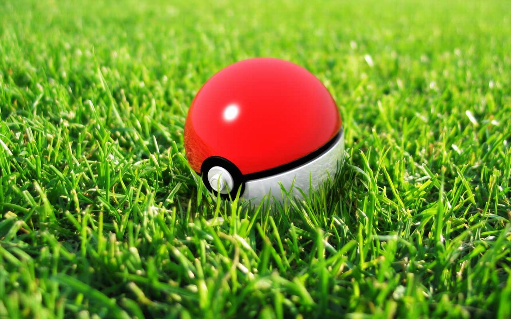 Pokemon Pokeballs Grass 1680x1050