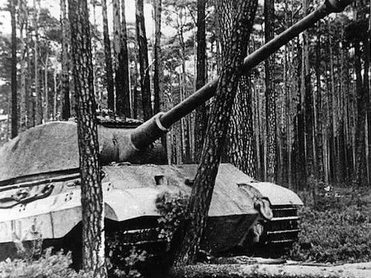 World War Ii Tiger Ii 1280x960