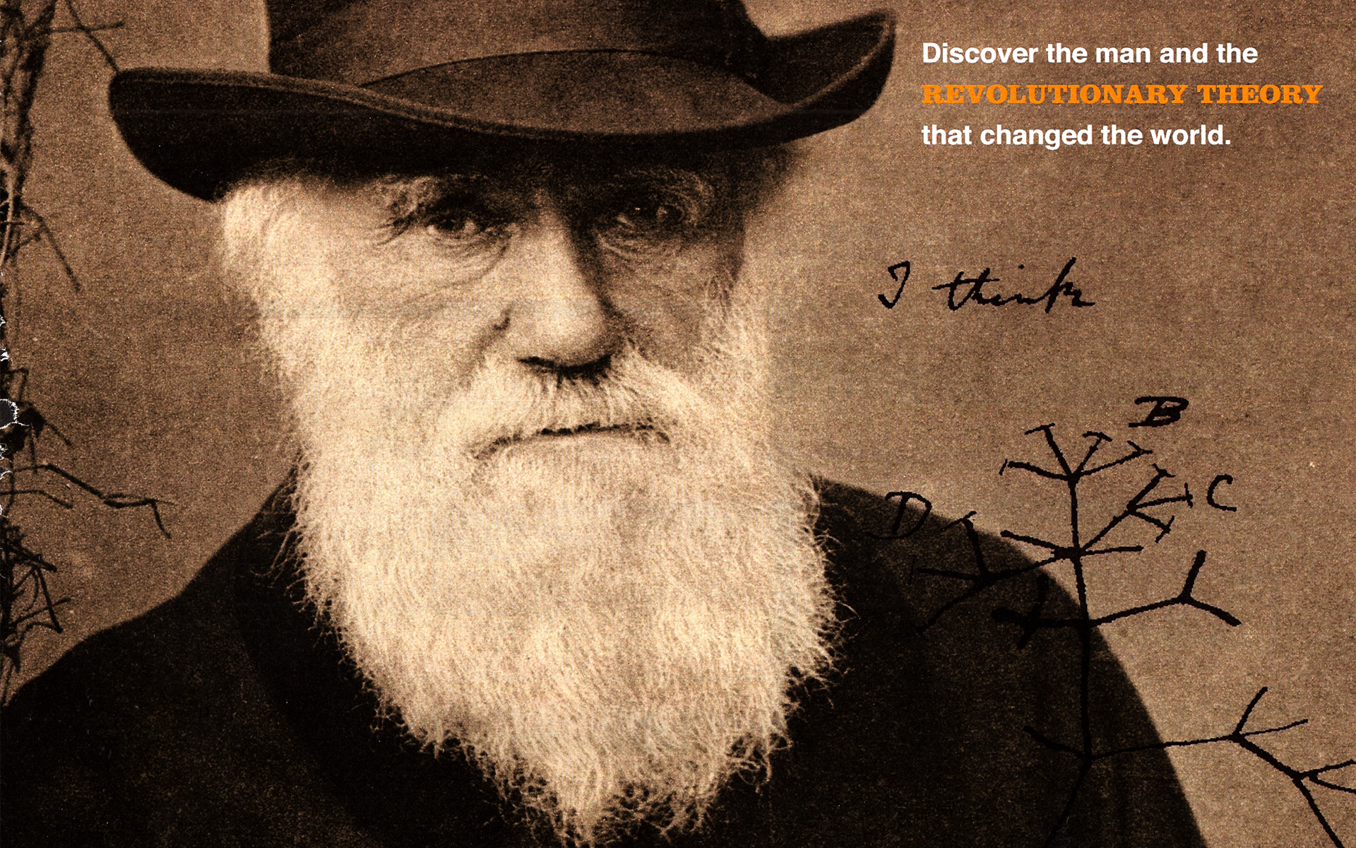 Charles Darwin 1920x1200