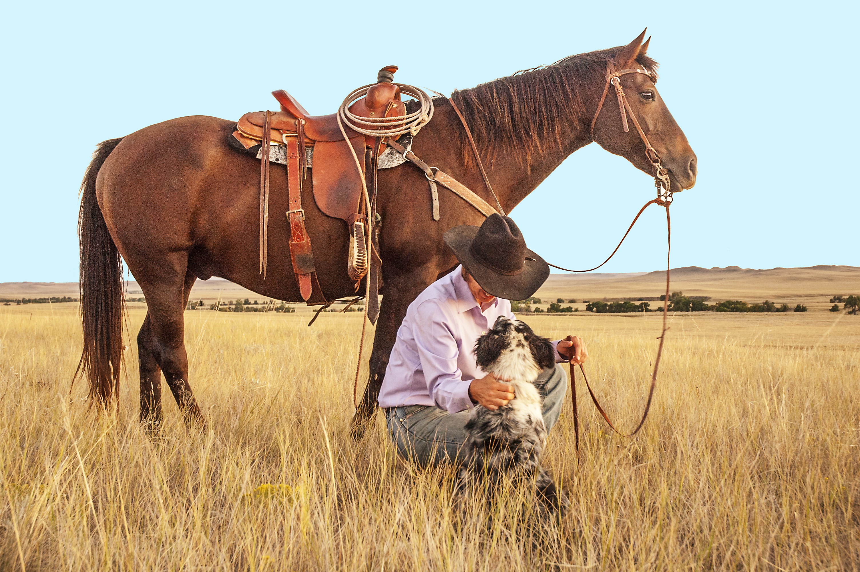 Cowboy Horse Dog Ranch Portrait 3008x2000