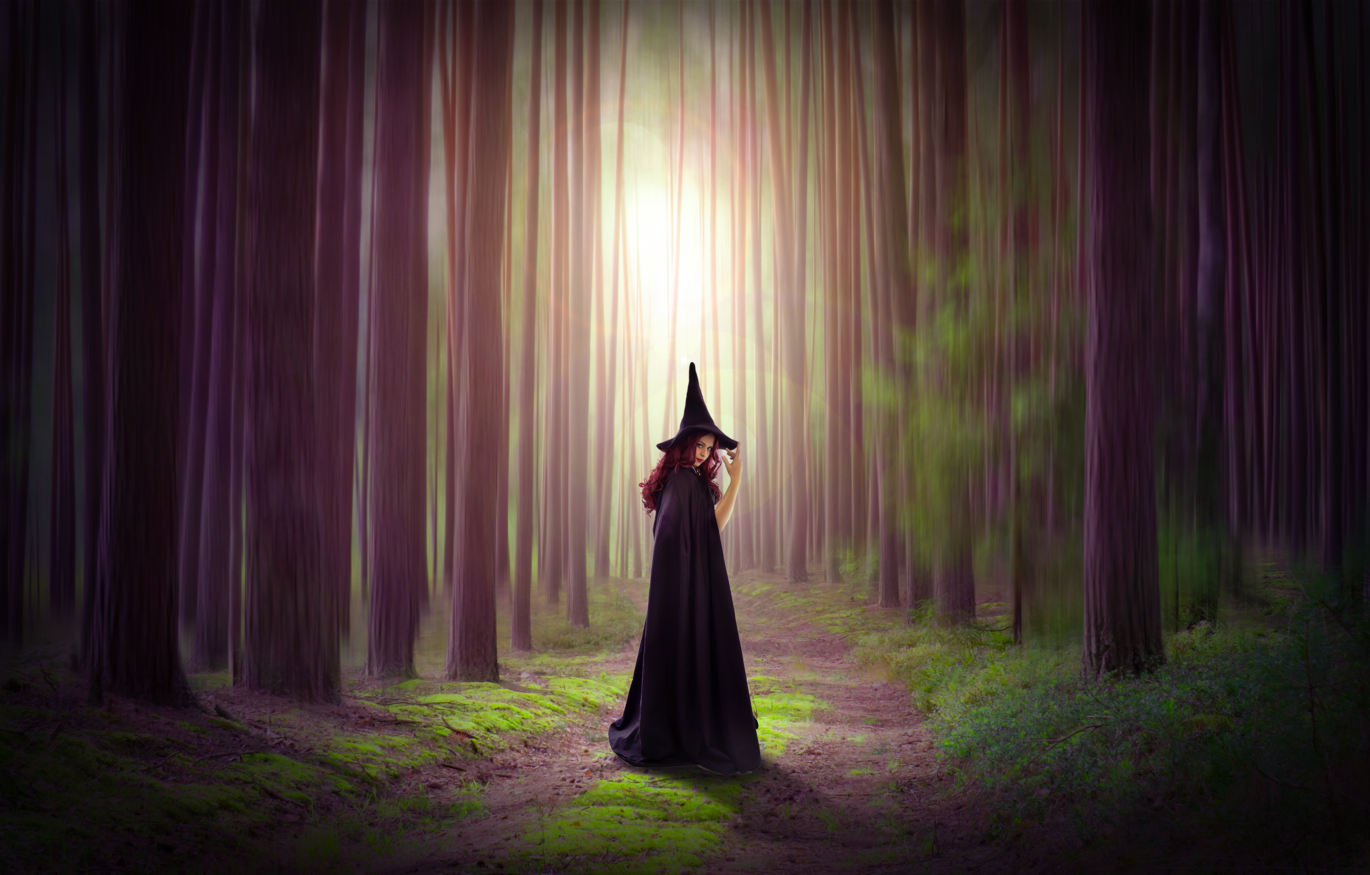 Photoshop Photo Manipulation Forest Trees Green Magenta Witch Witch Hat Dirt Road 2736x1748