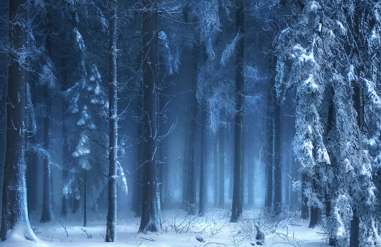 Nature Landscape Blue Forest Snow Winter Mist Sunlight Trees Fairy Tale Cold Switzerland 1230x799
