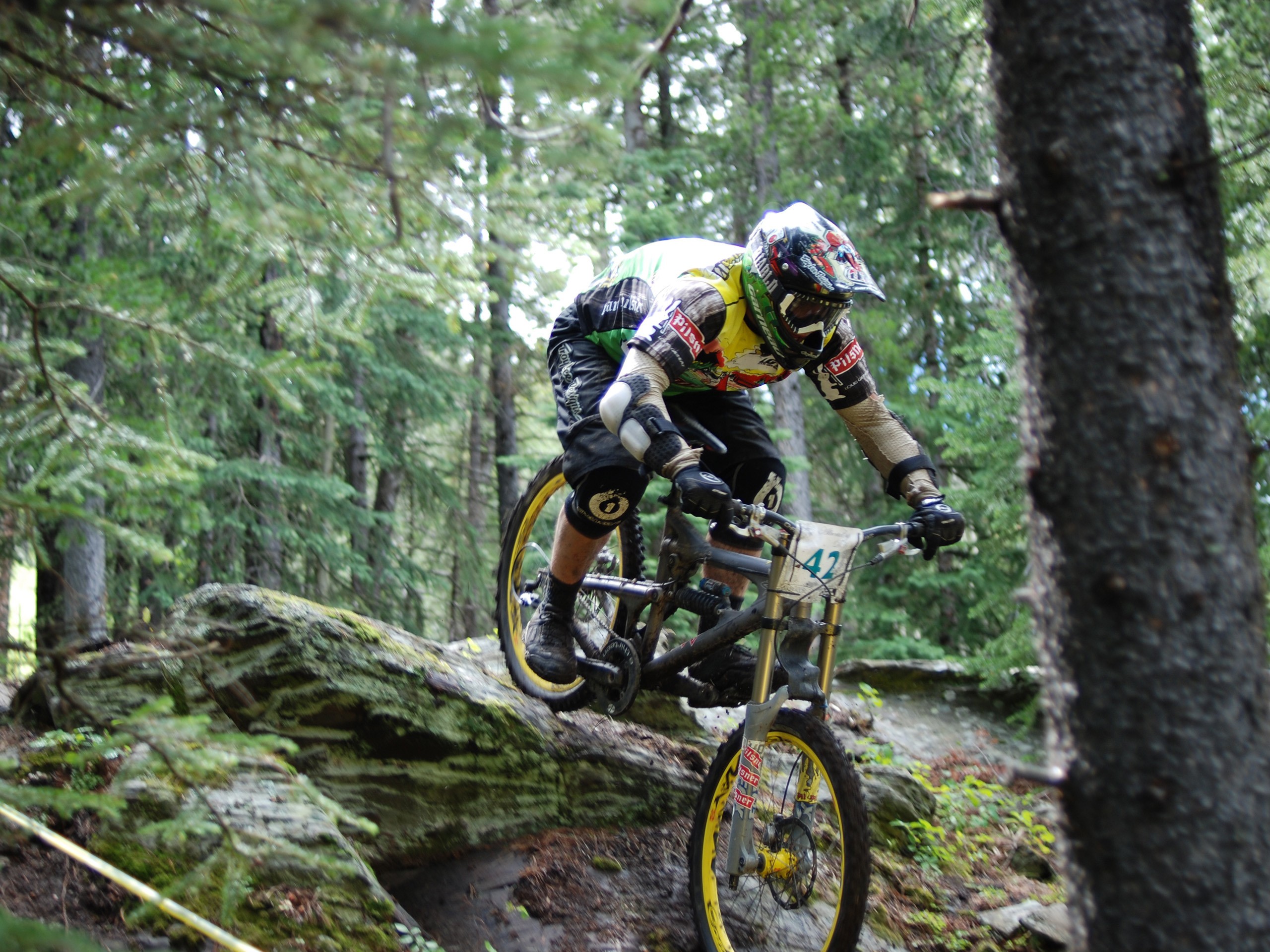 Sport Sports Forest Bicycle Vehicle Downhill Mountain Biking 2560x1920